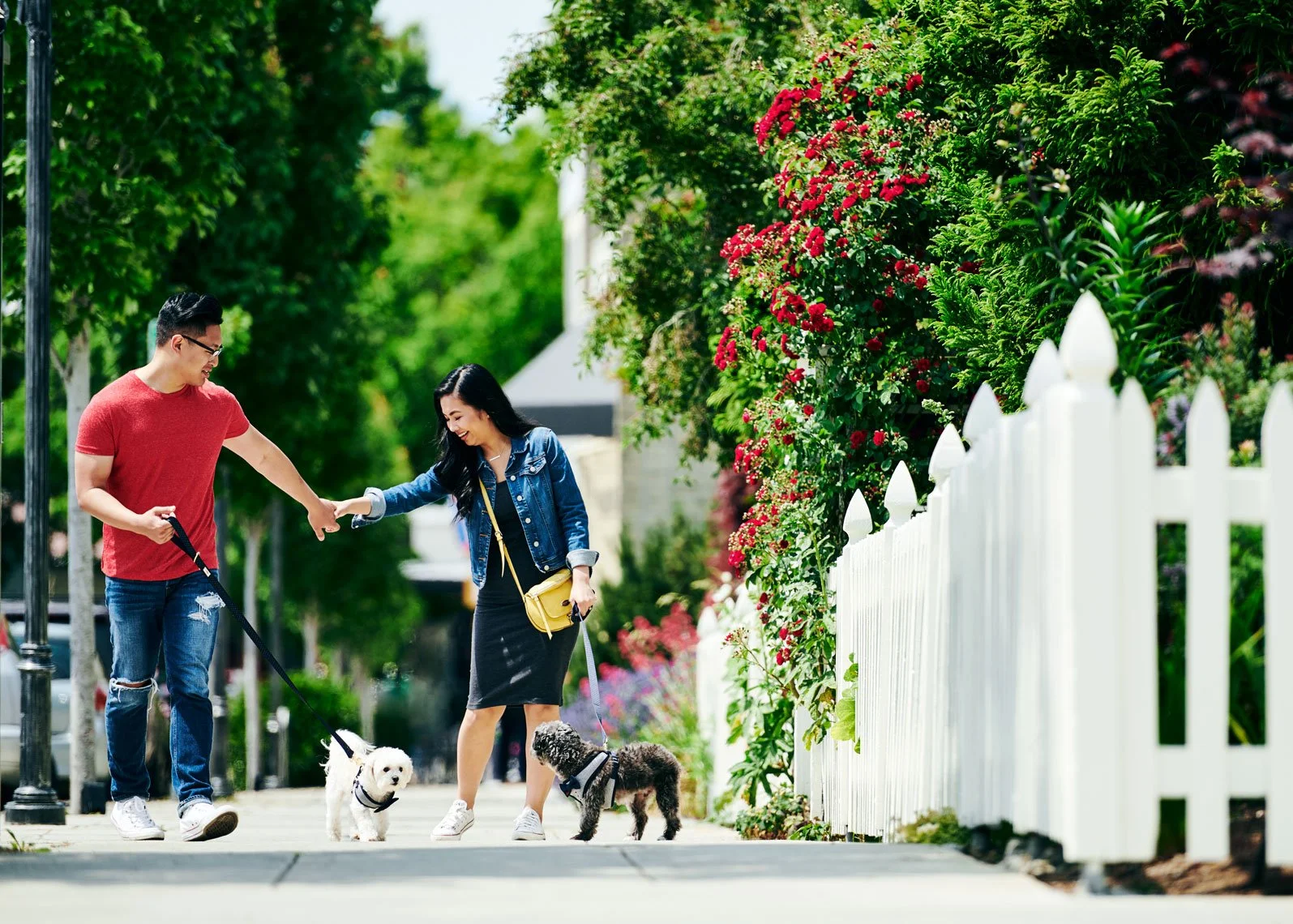 DogCouple_2020.jpg