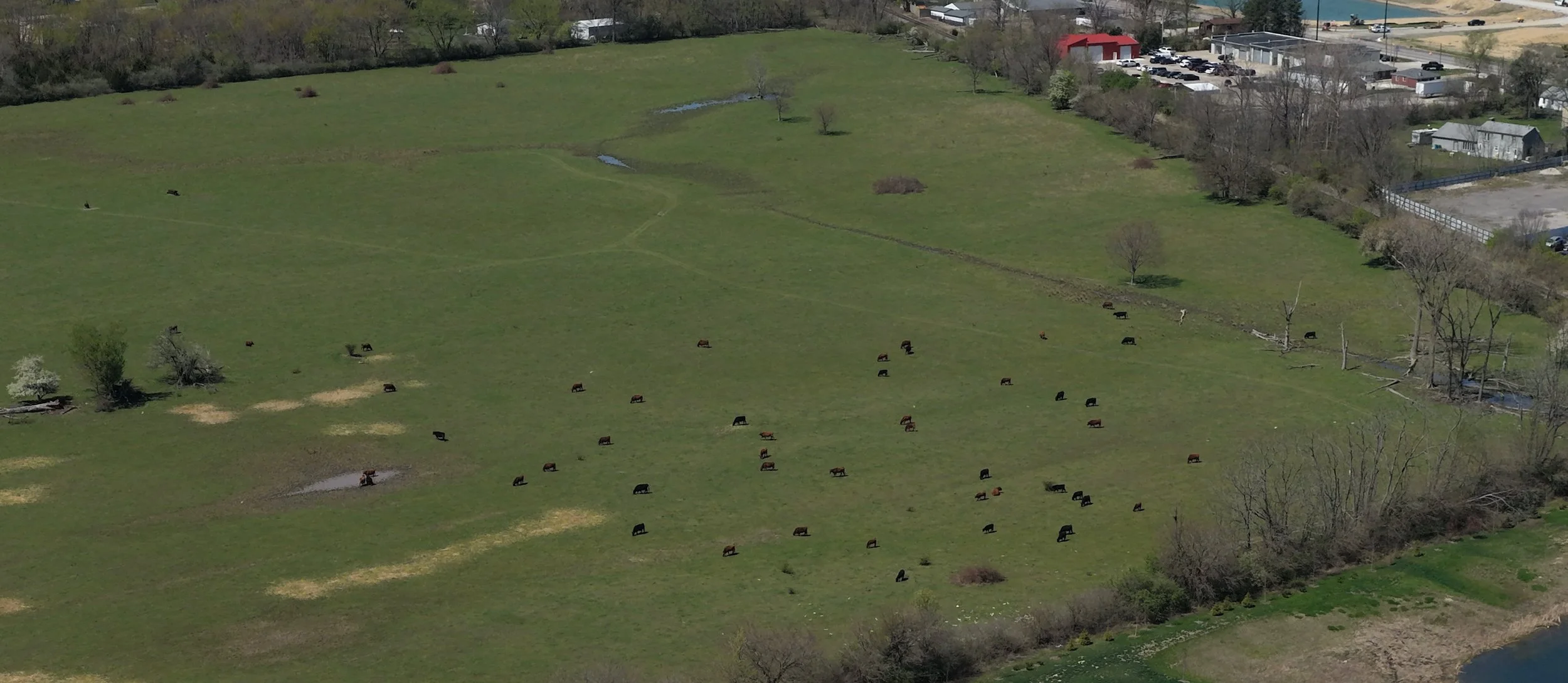 livestock &amp; agriculture