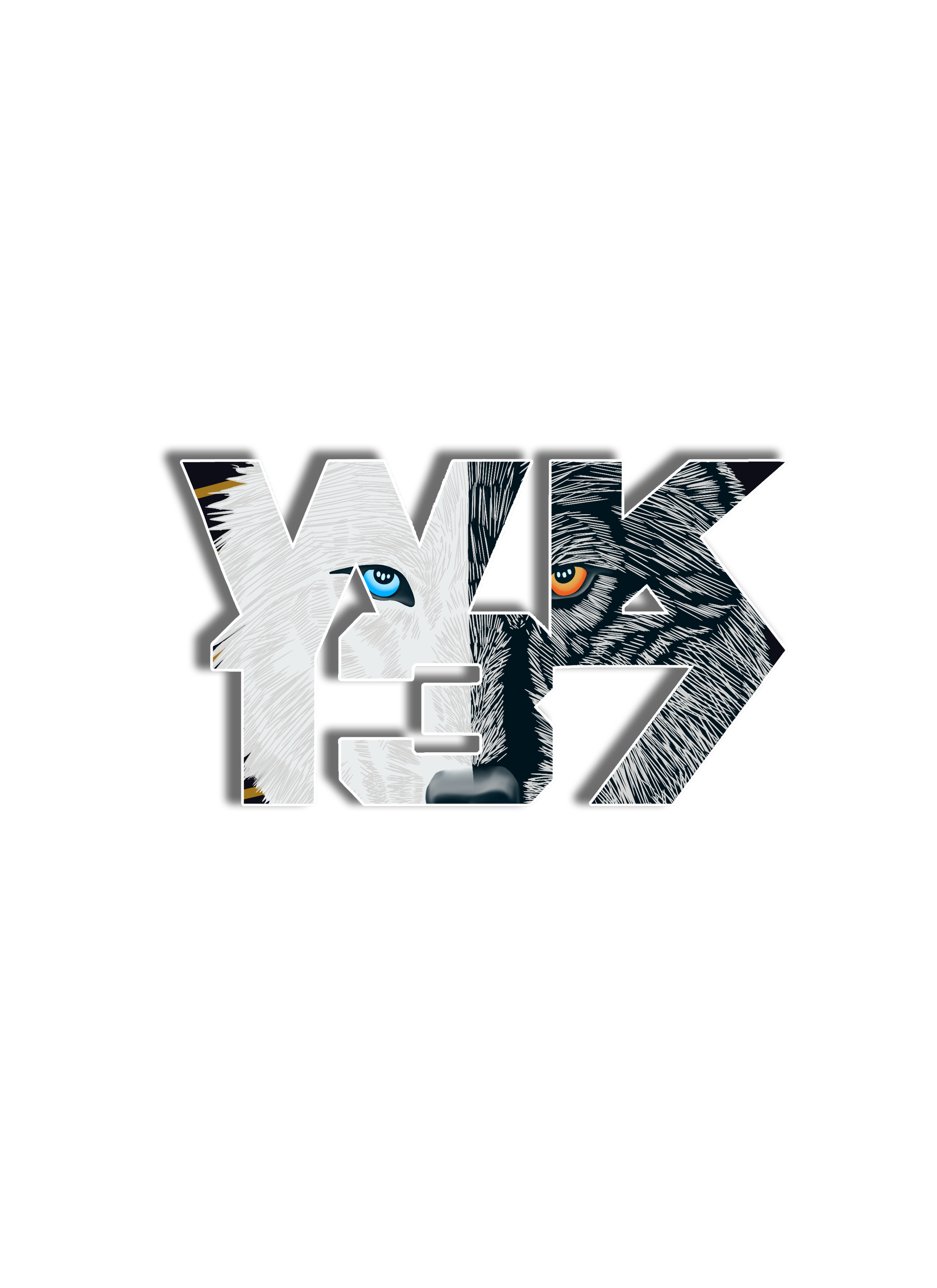Graphic of the word 'WOLFKING137’ shortened to WK137 with a wolf illustration in the text. The wolf's face has one blue eye and one orange eye against a black background.