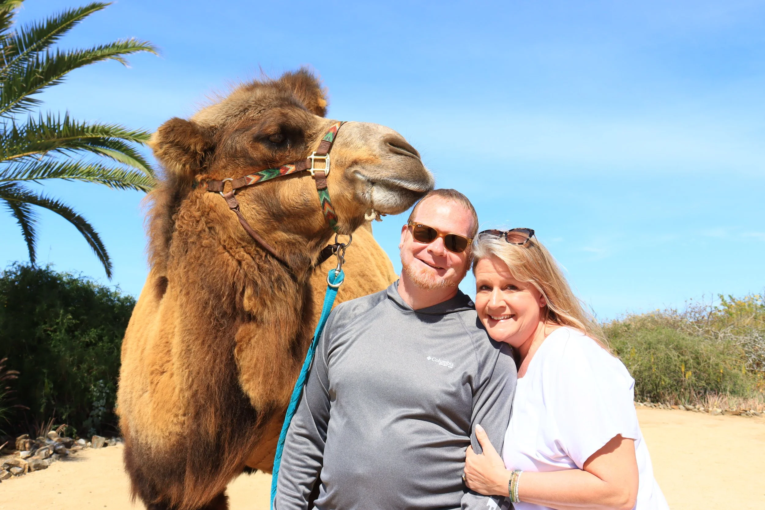 IMG_0775.jpeg