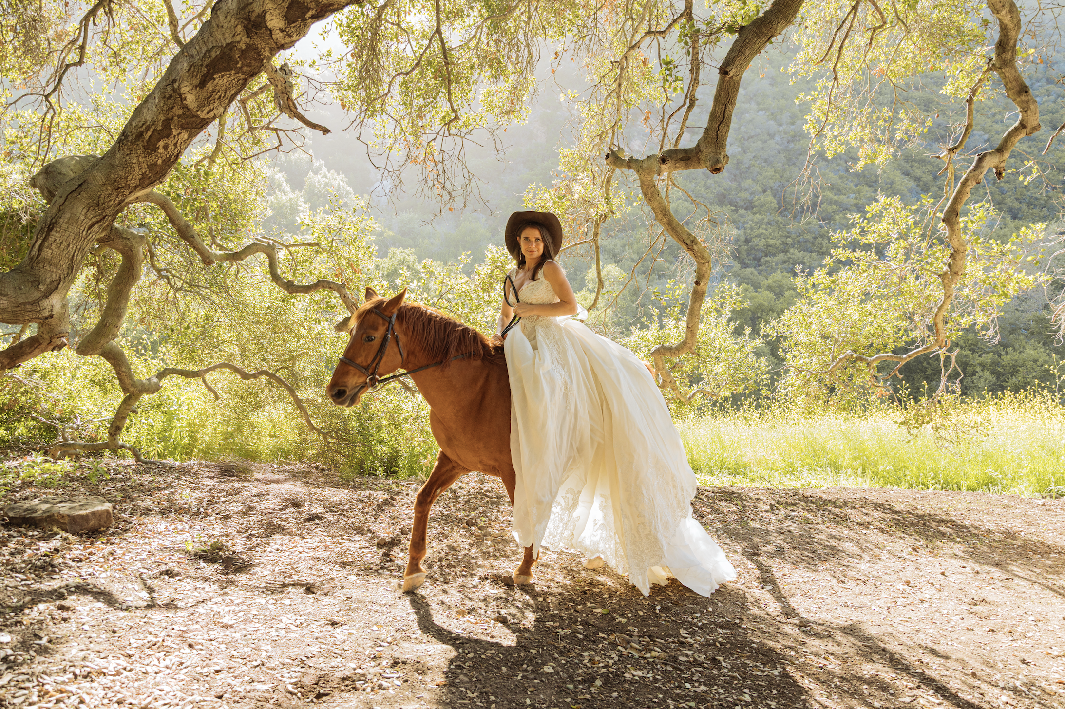 Horses in the Canyon