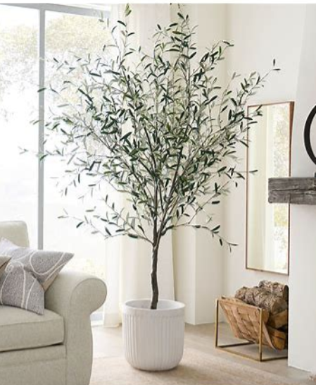 Indoor living room with large potted olive tree, beige sofa with pillows, and fireplace with firewood, decorated in neutral tones.