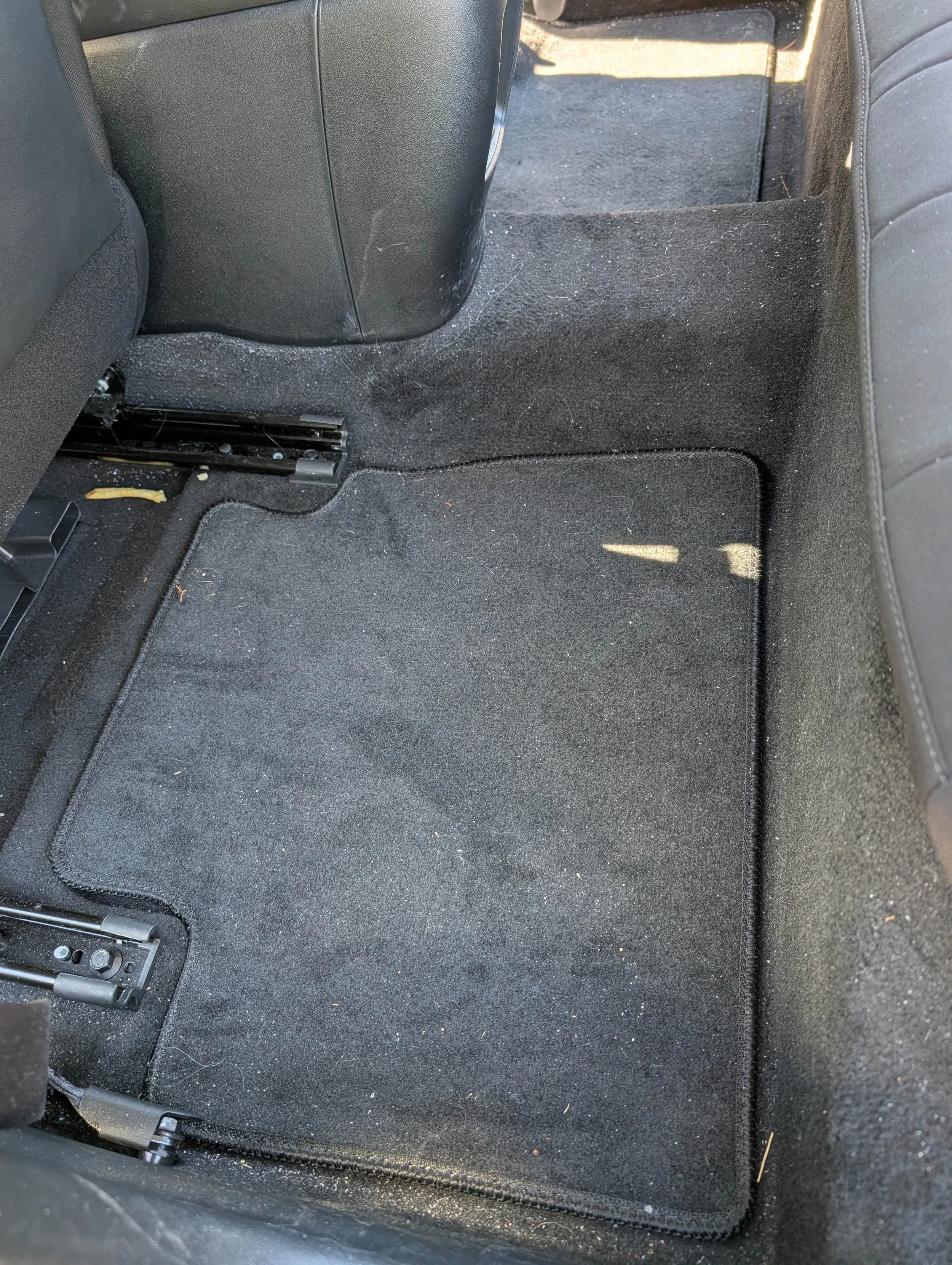 Car interior showing black carpeted floor with some hair, dirt, and a floor mat.