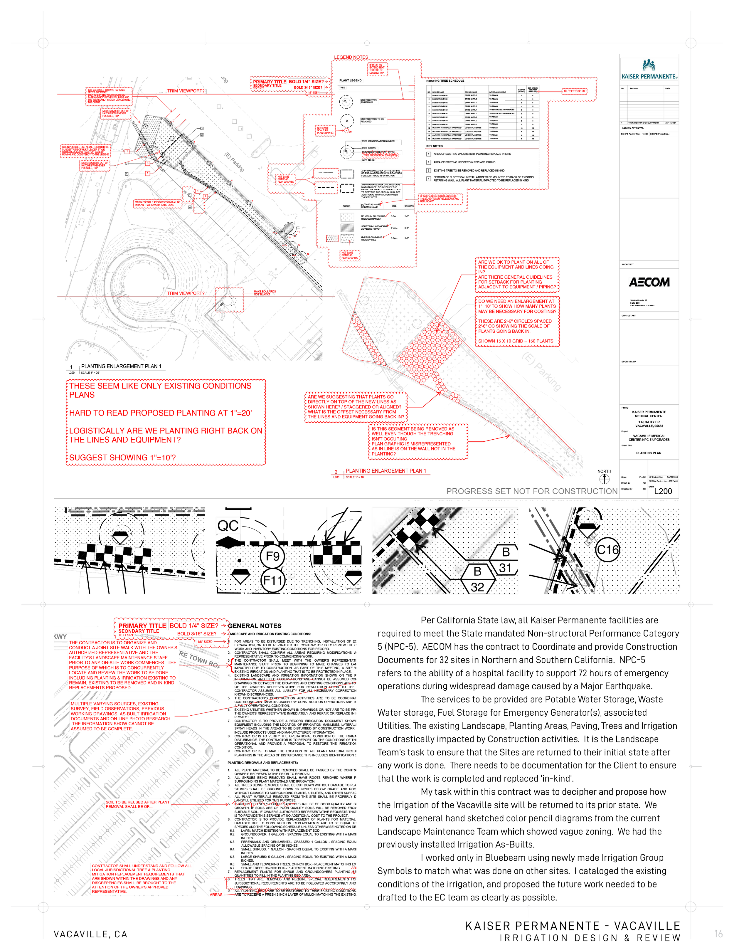 PORTFOLIO PAGES_16.webp