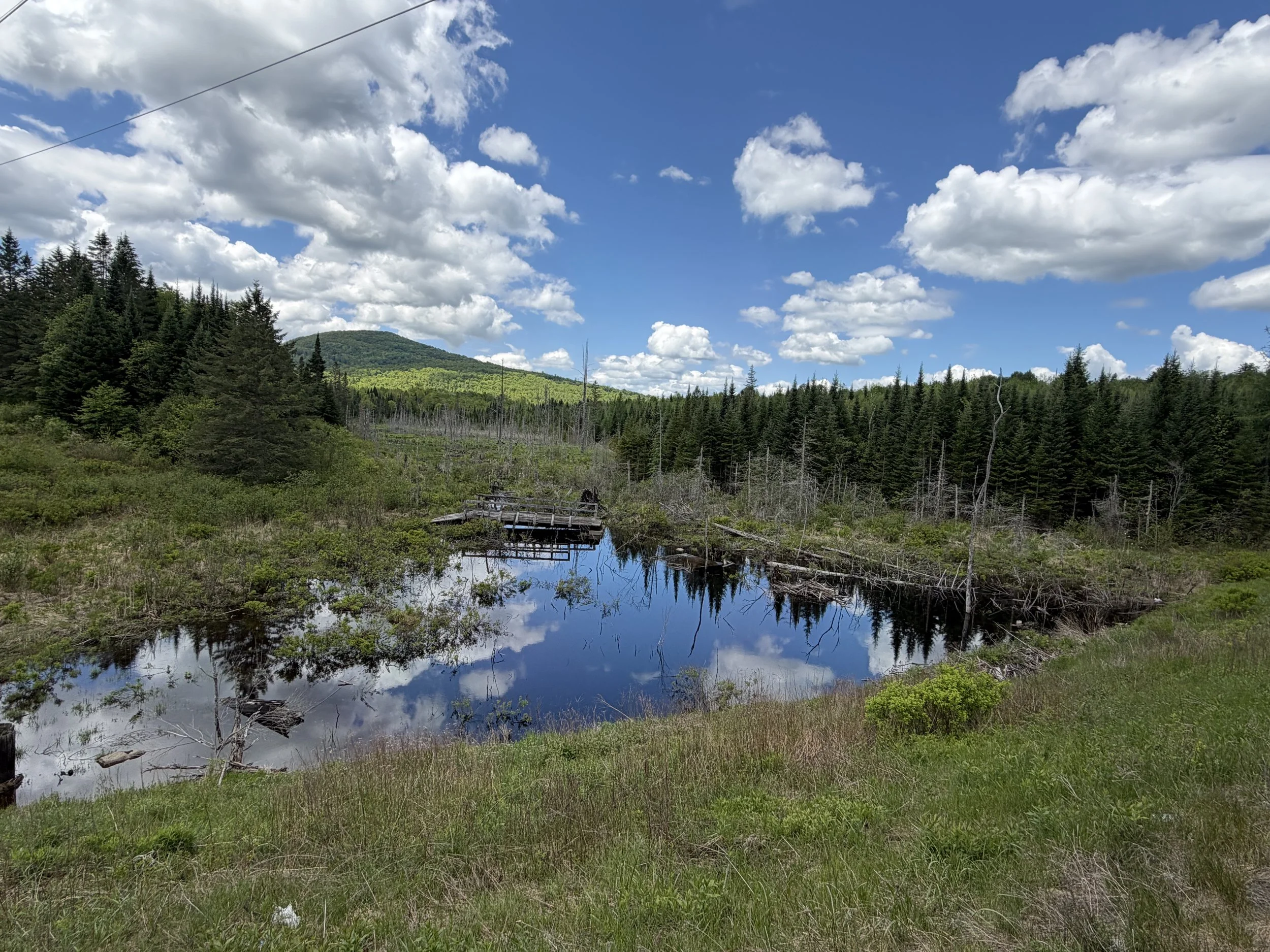 NewHampshire12.jpg