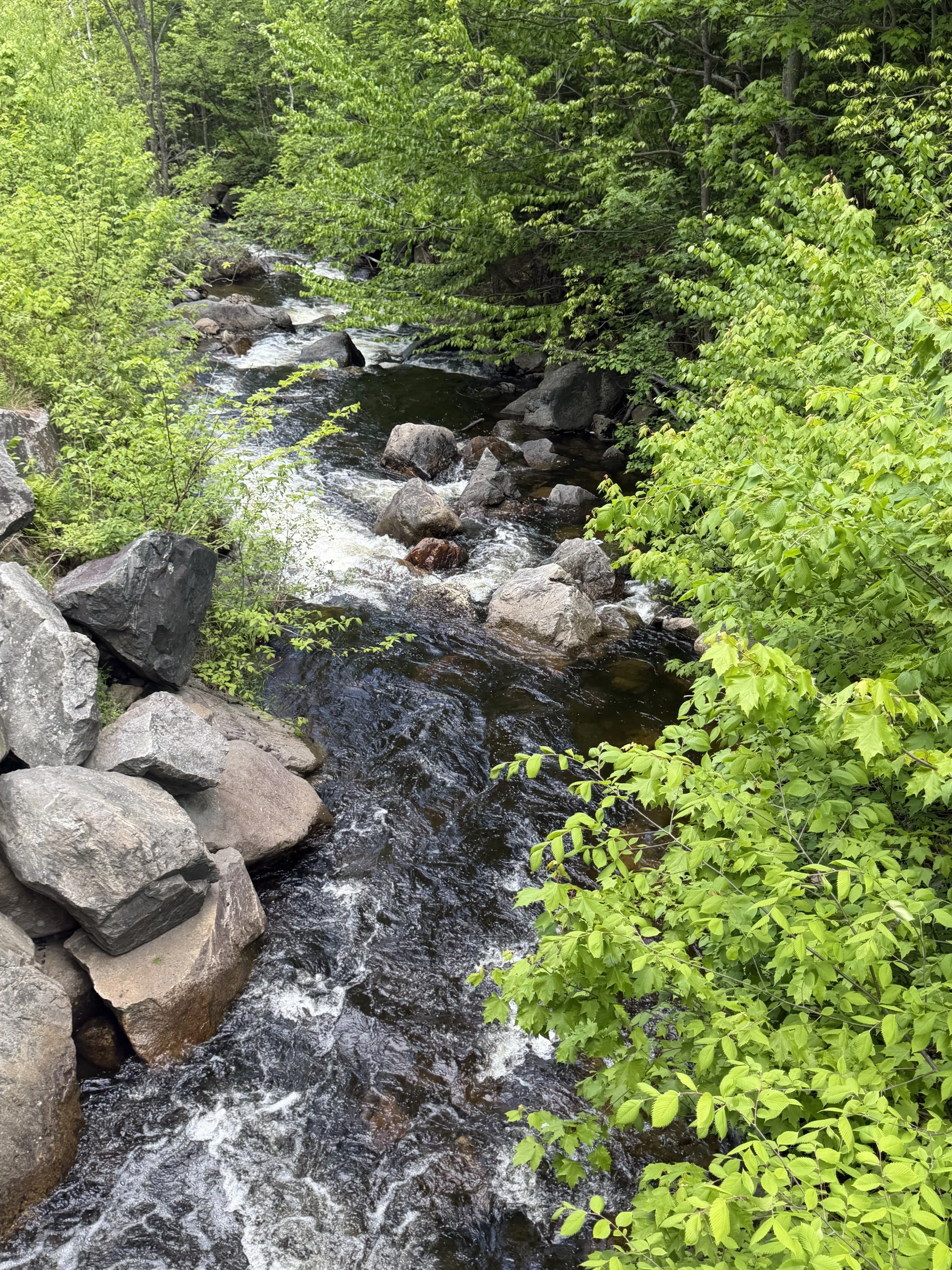 NewHampshire46.jpg
