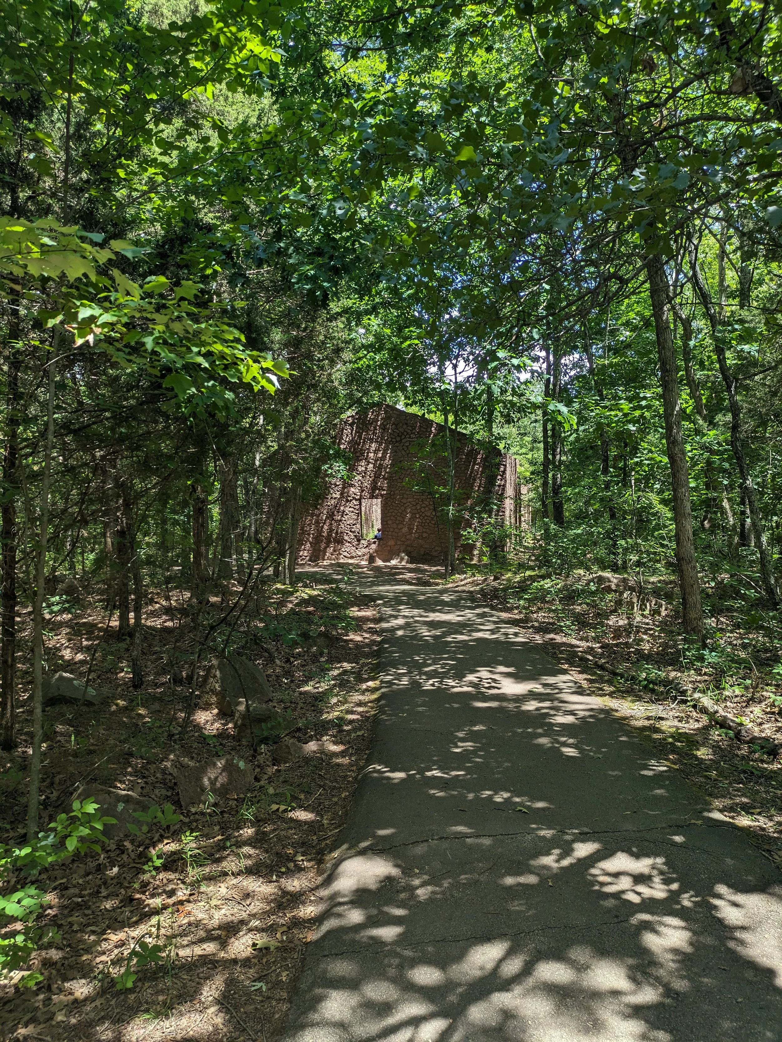 PXL_20230715_174759240.jpg
