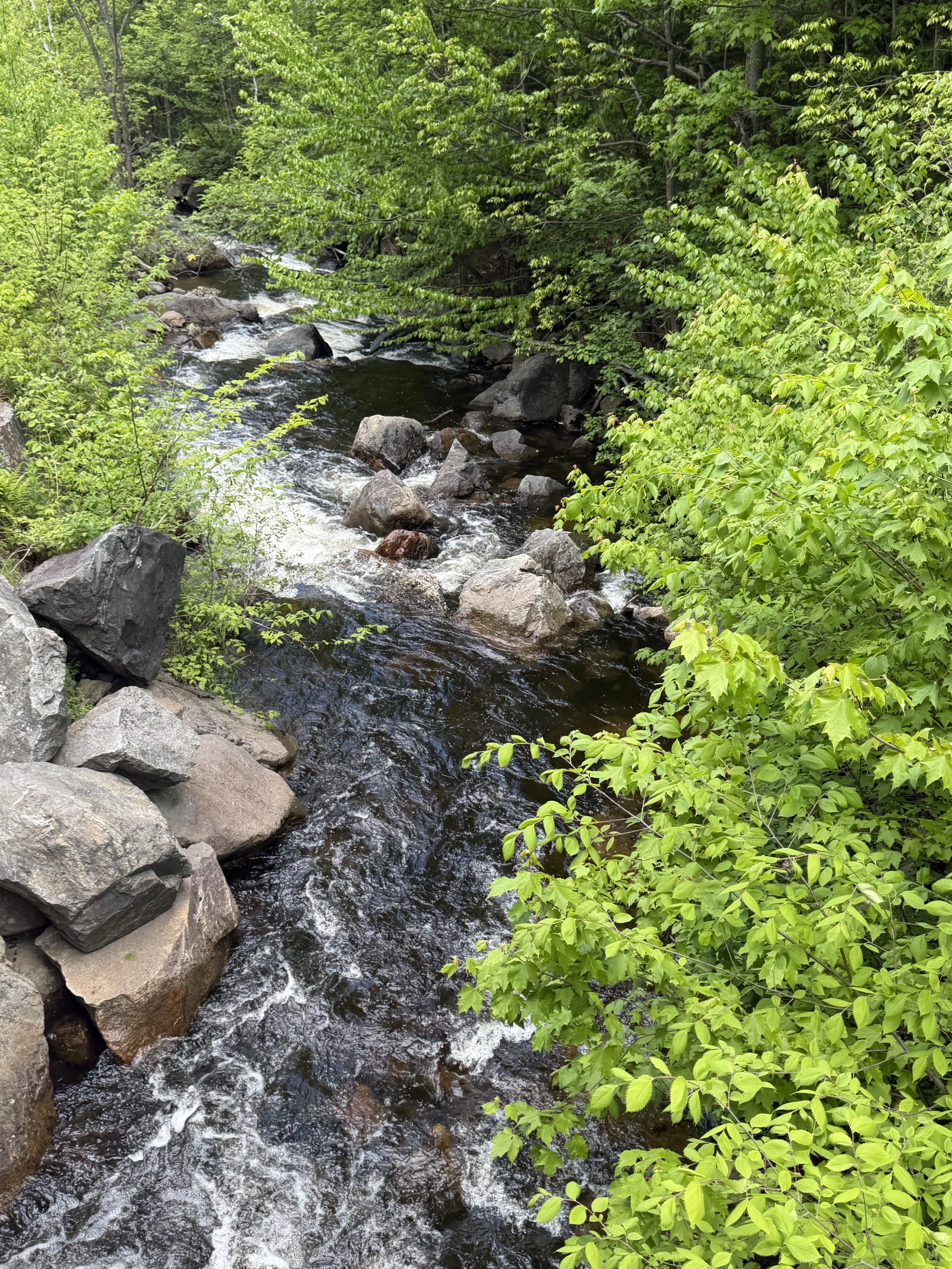 NewHampshire14.jpg