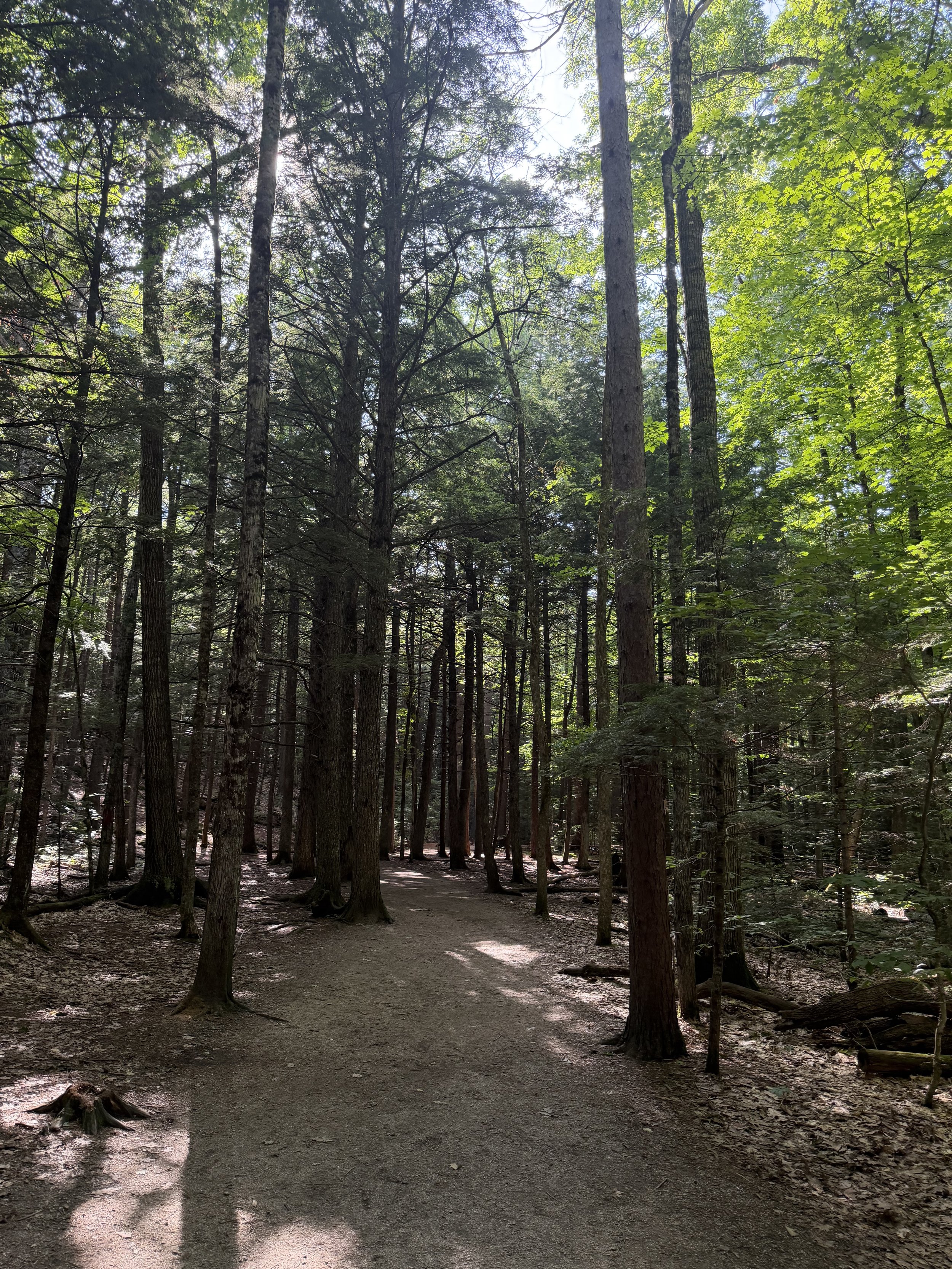 NewHampshire20-1.jpg