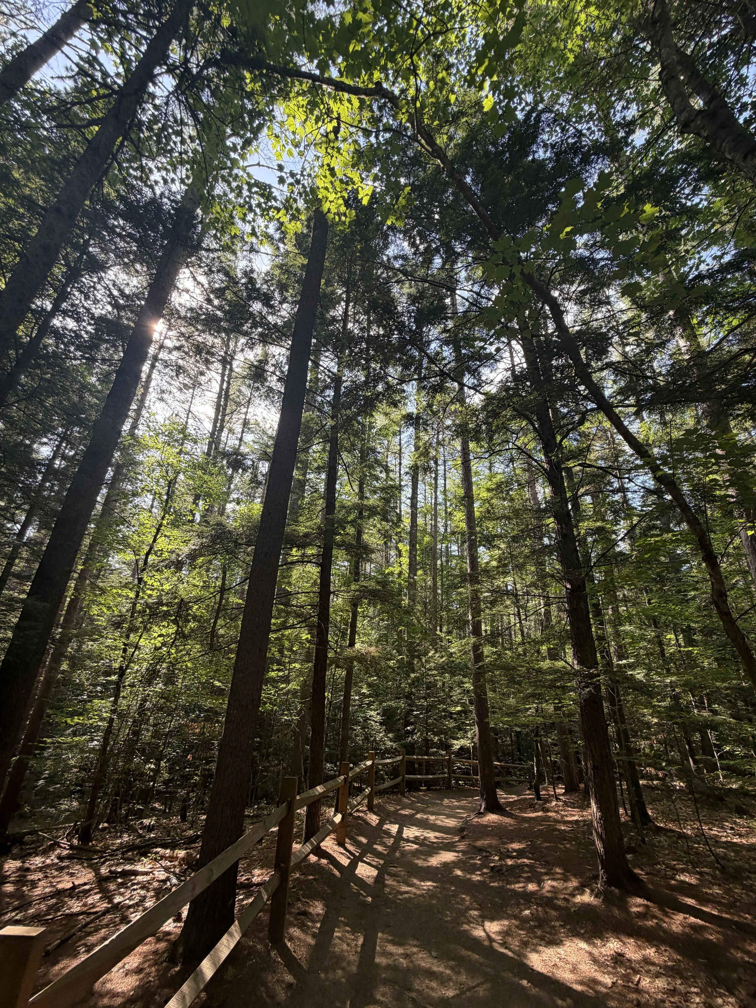 NewHampshire34.jpg
