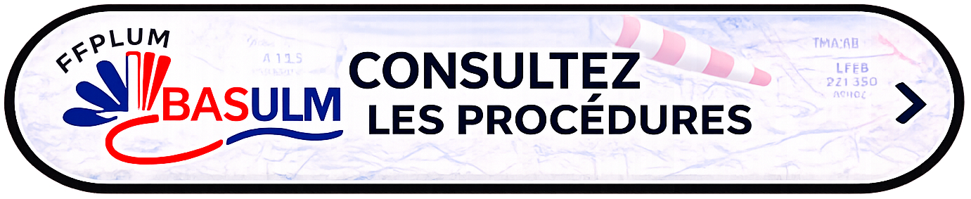 Bouton 'Consultez les procédures,' redirigeant vers la fiche BASULM LF3753 de Channay-sur-Lathan.