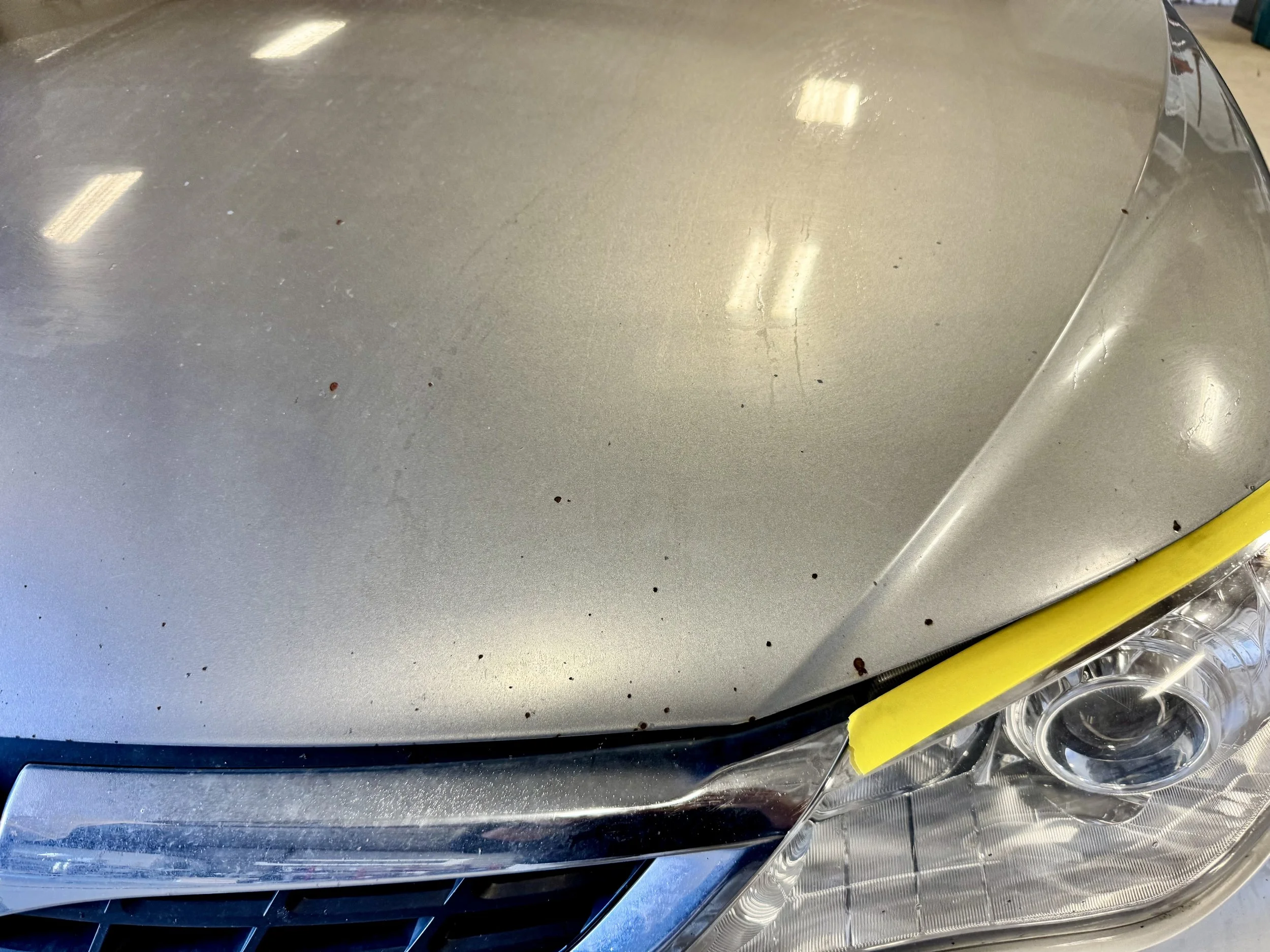 close up of a cars hood with rock chip damage