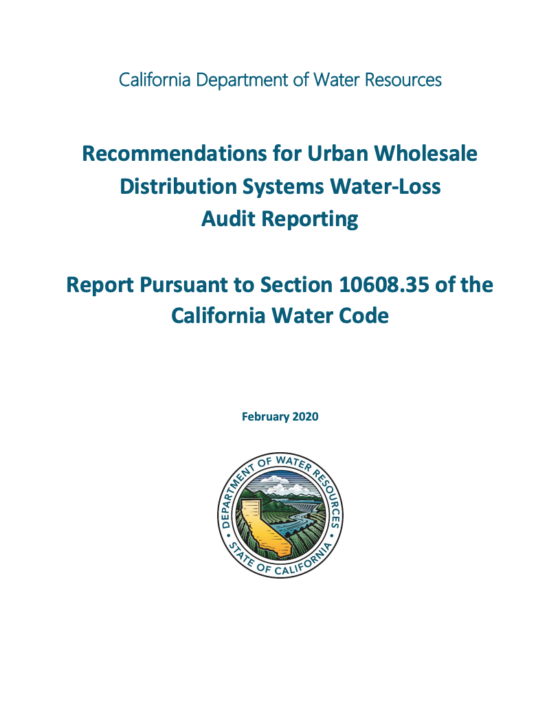 Recommendations for Urban Wholesale Distribution Systems Water-Loss Audit Reporting, February 2020