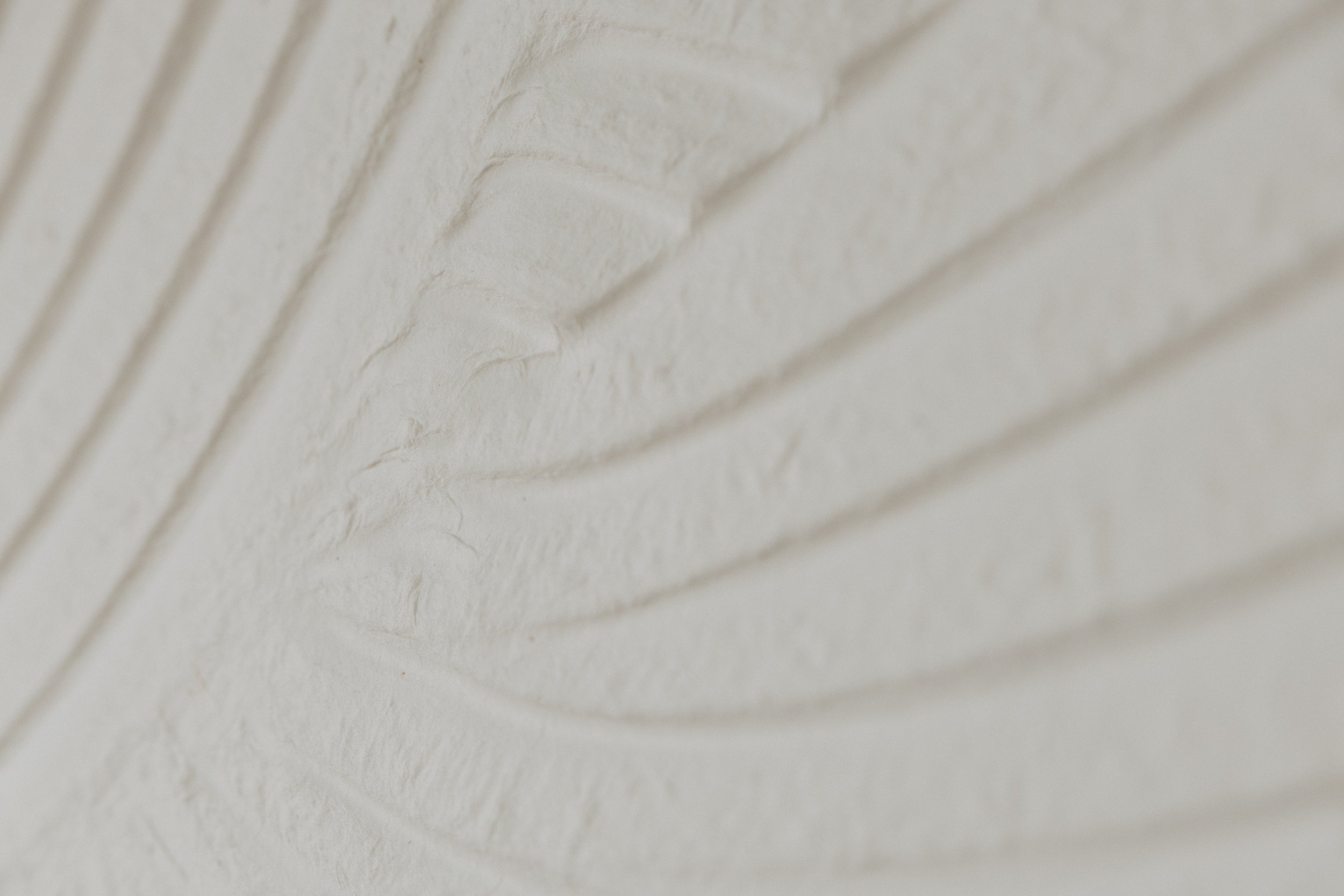 Close-up of a textured white or cream-colored surface, possibly paper or plaster, with subtle curved patterns.