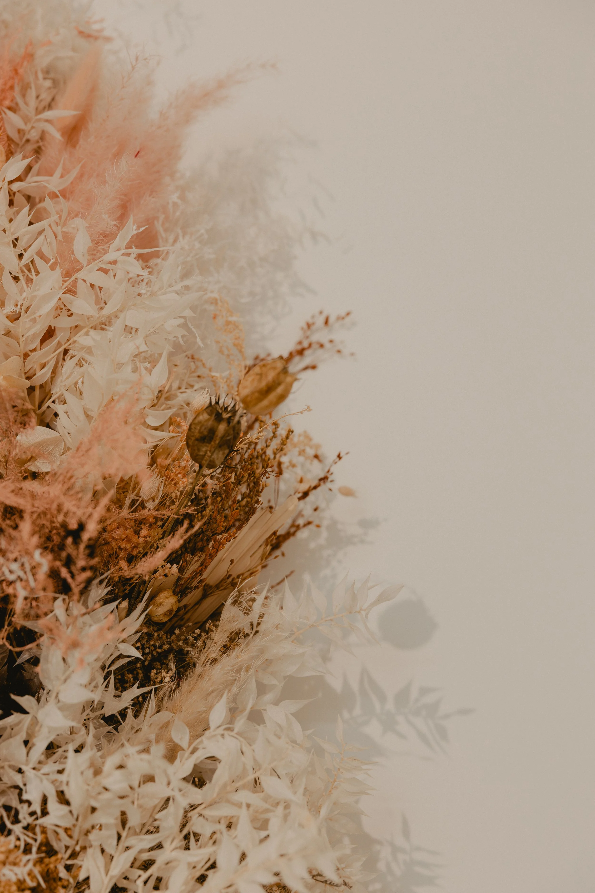 A bouquet of dried flowers in soft pastel shades of beige, peach, and cream with some darker brown accents, set against a plain light-colored background.
