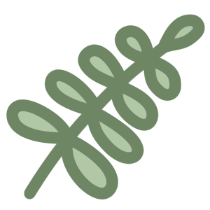 A simple illustration of a green leafy branch with multiple oval-shaped leaves.