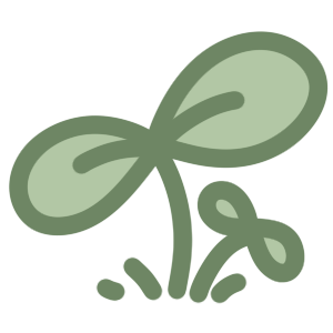A simple, stylized drawing of a sprouting plant with three leaves and an emerging stem.