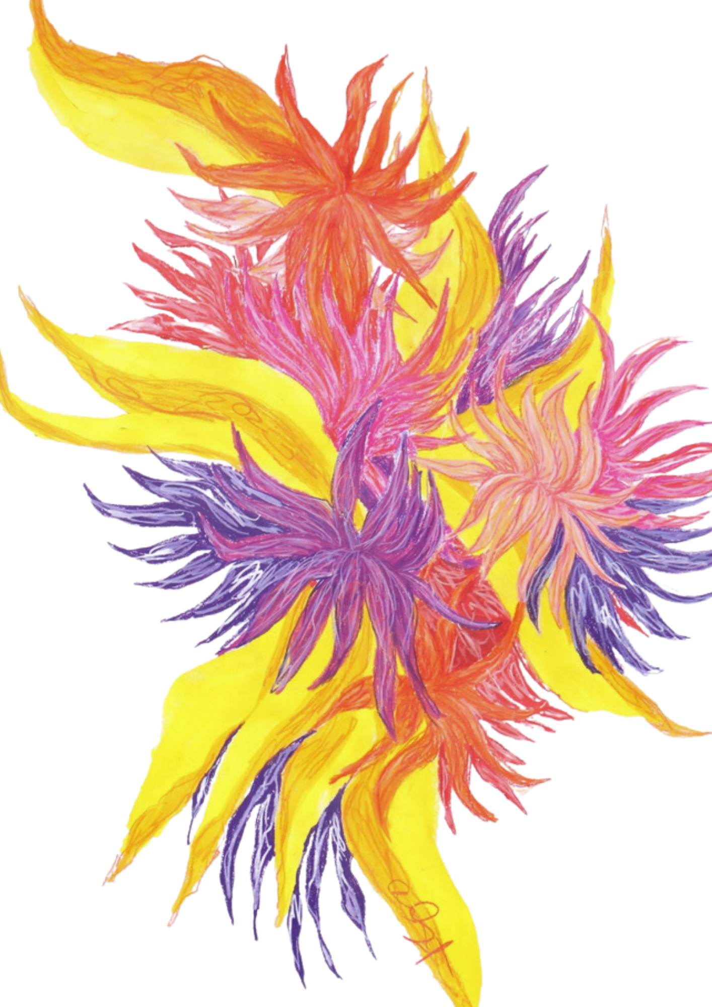 11.png