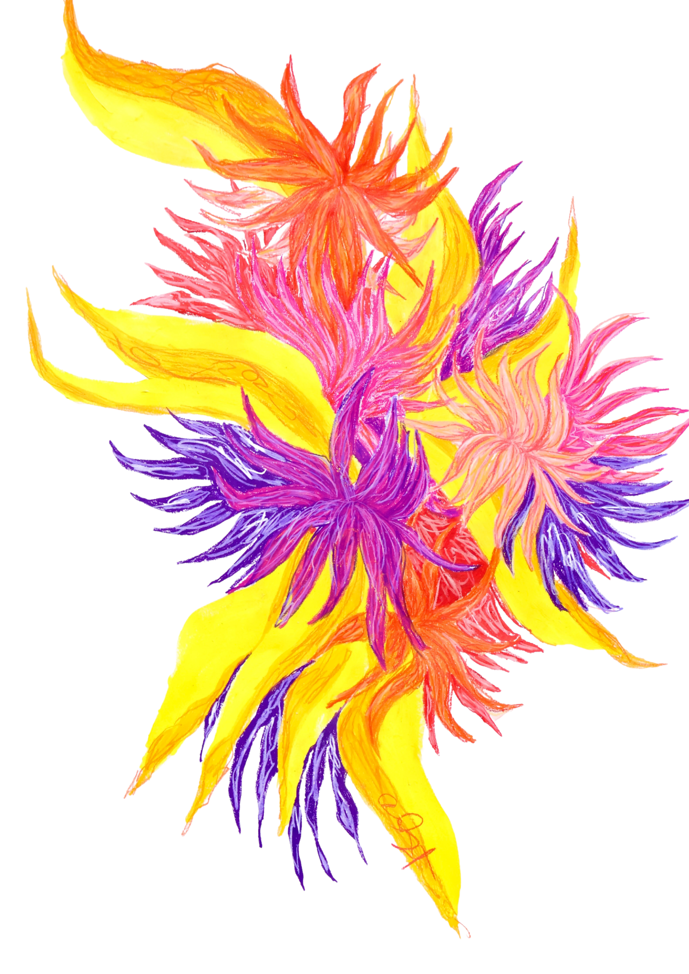 nat's.png