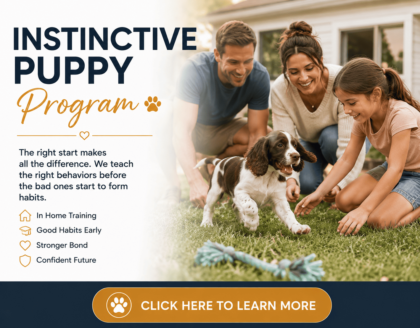 Family working with a young Springer Spaniel puppy during an in-home puppy training program.