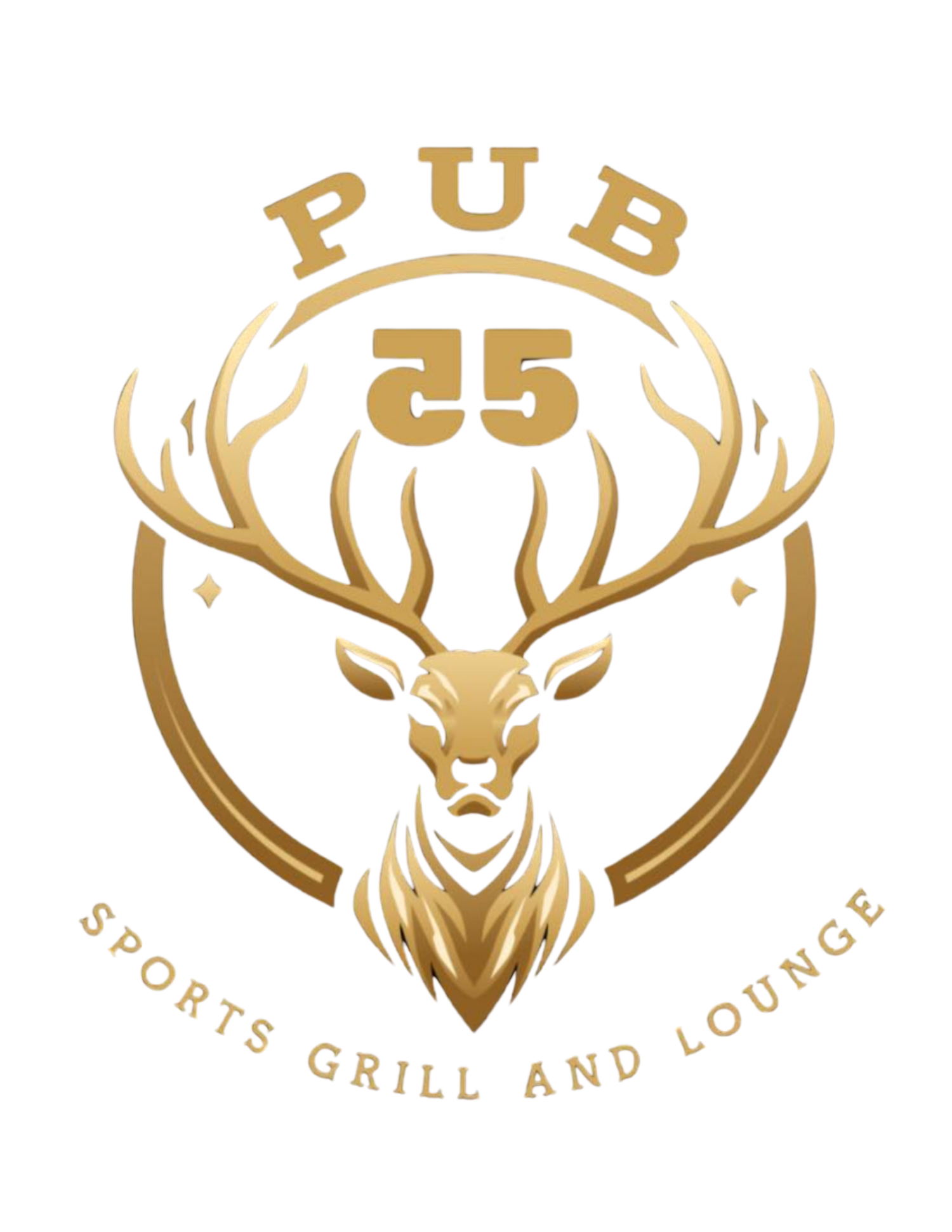 Pub 55
