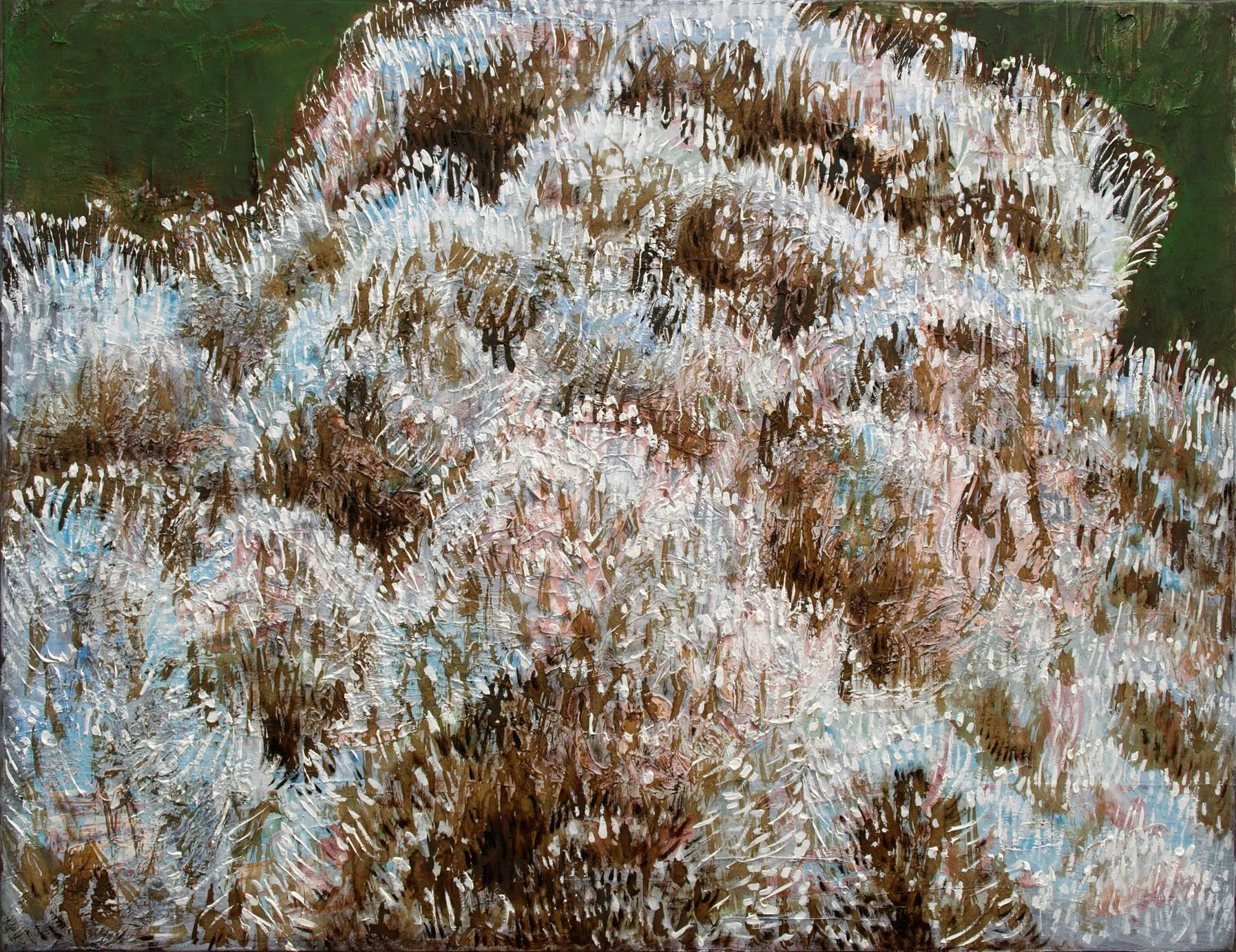 Végétation, 2012, huile sur toile, 50x65 cm