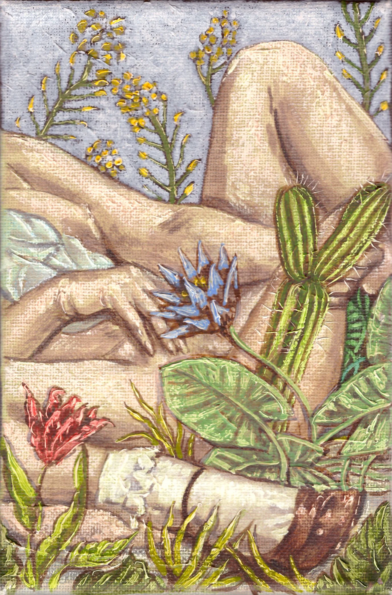 Cactus, 2017, huile sur toile, 18x12 cm