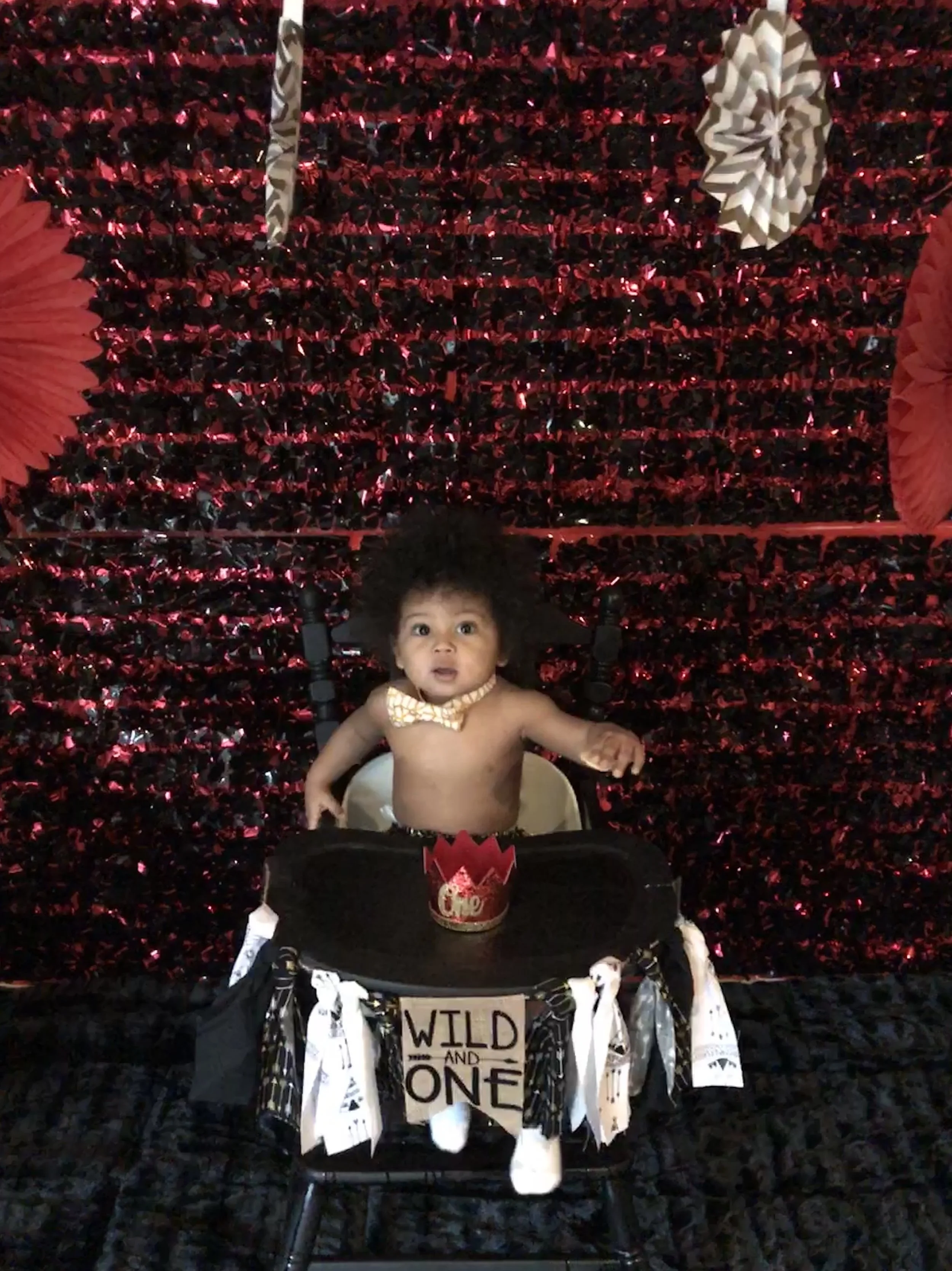 AJ's Wild One First Birthday Party