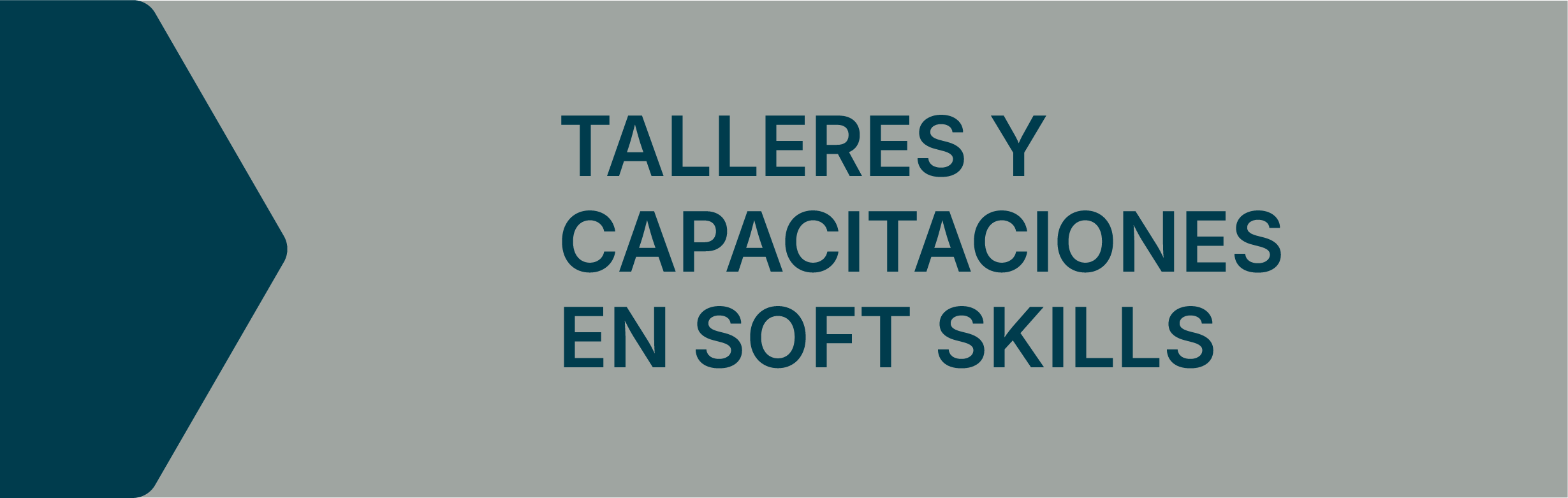 Cartel que dice 'Talleres y capacitaciones en soft skills' con fondo gris y diseño en azul oscuro en el lado izquierdo.