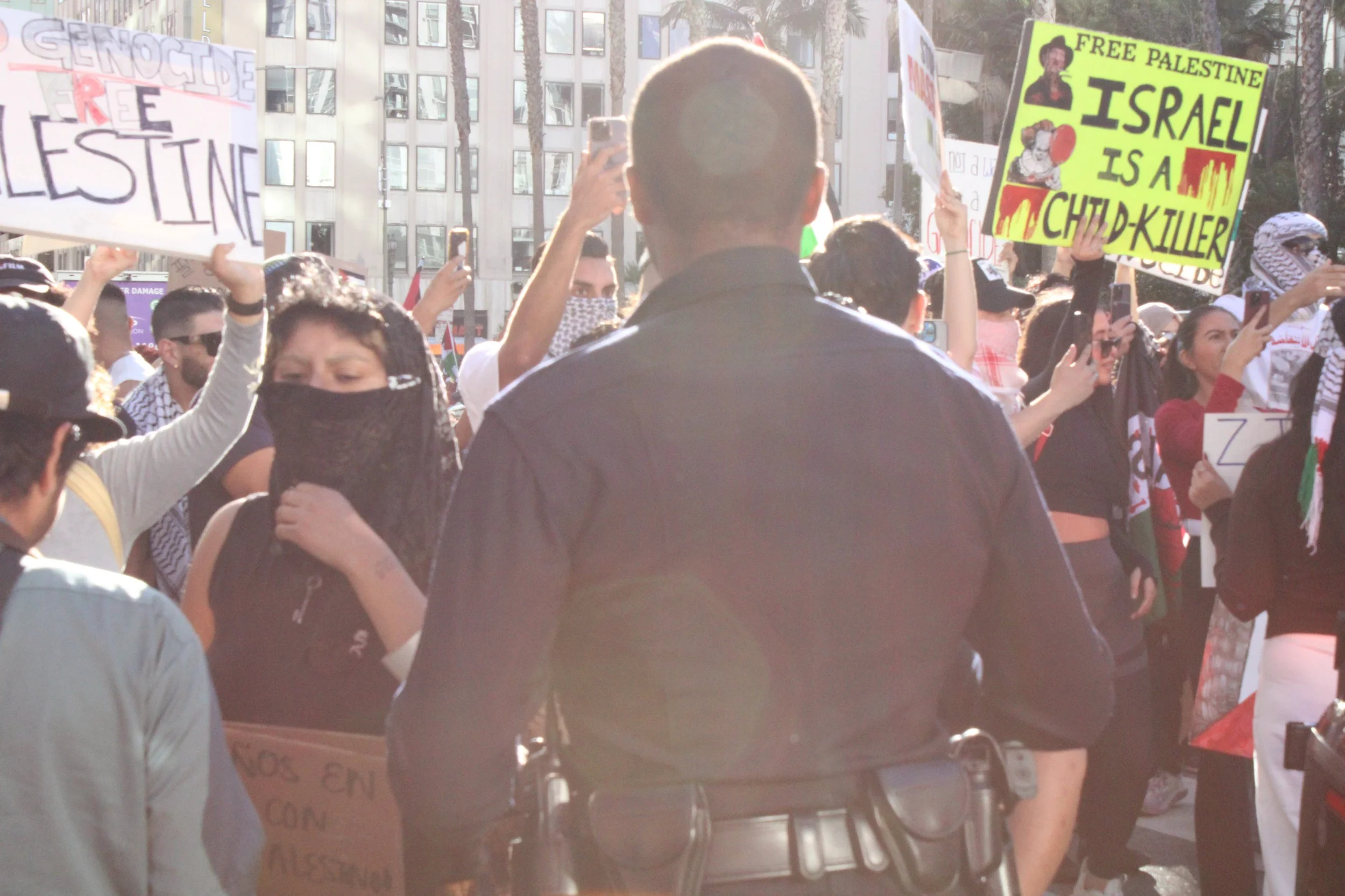 Street Corner Politicians: The Utility of Mediation in Law Enforcement