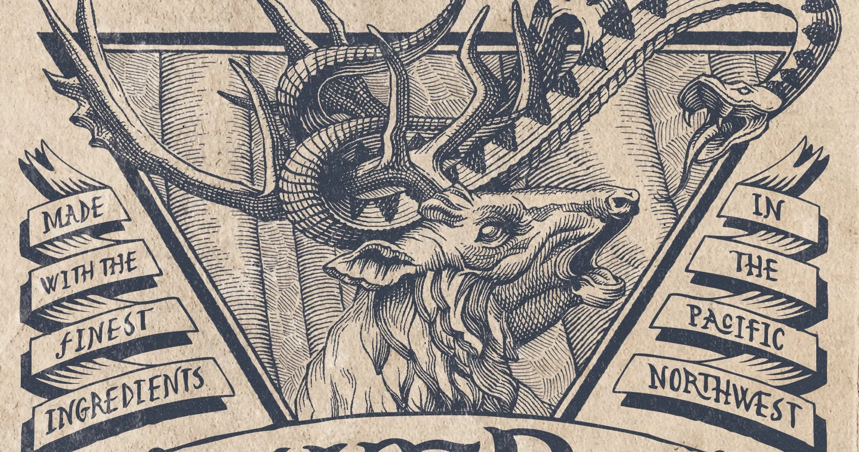 Detail of illustrated beer label design featuring custom typography and detailed linework
