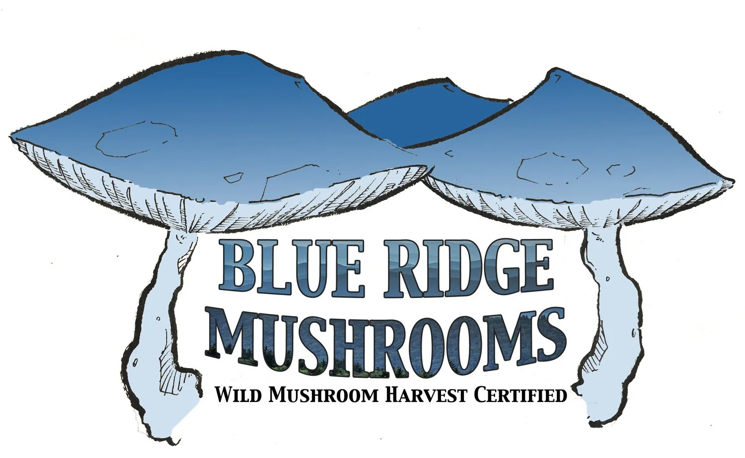 A logo for Blue Ridge Mushrooms featuring illustrated blue mushrooms with the text 'Blue Ridge Mushrooms' and 'Wild Mushroom Harvest Certified'.