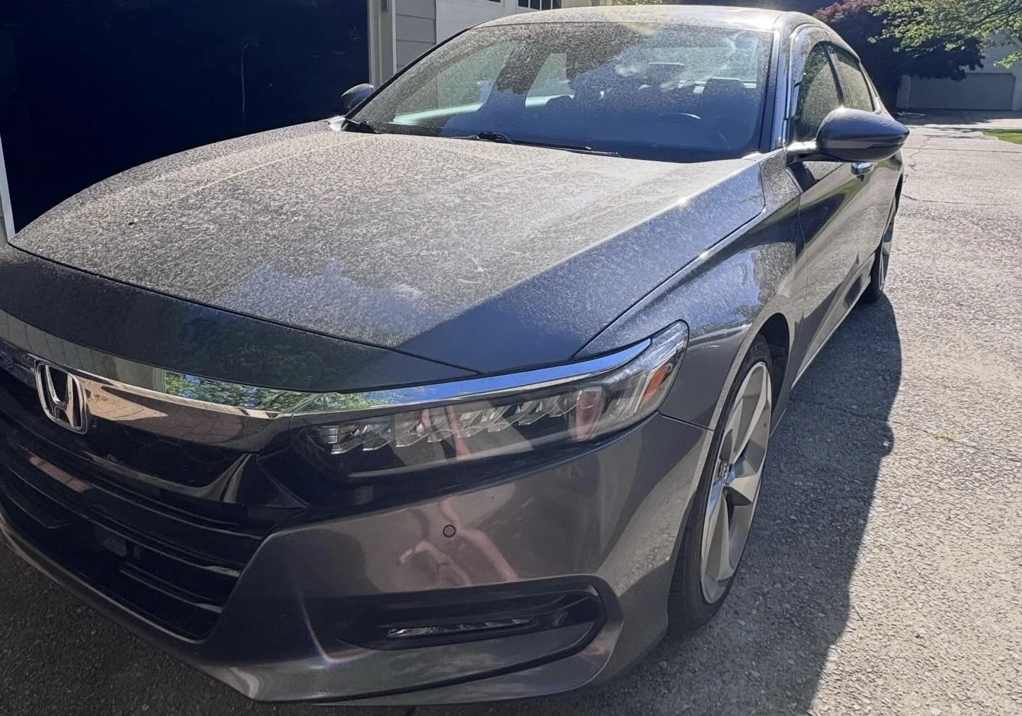 Gray Honda Civic parked on a driveway with dust on the hood and windshield, in front of a house.