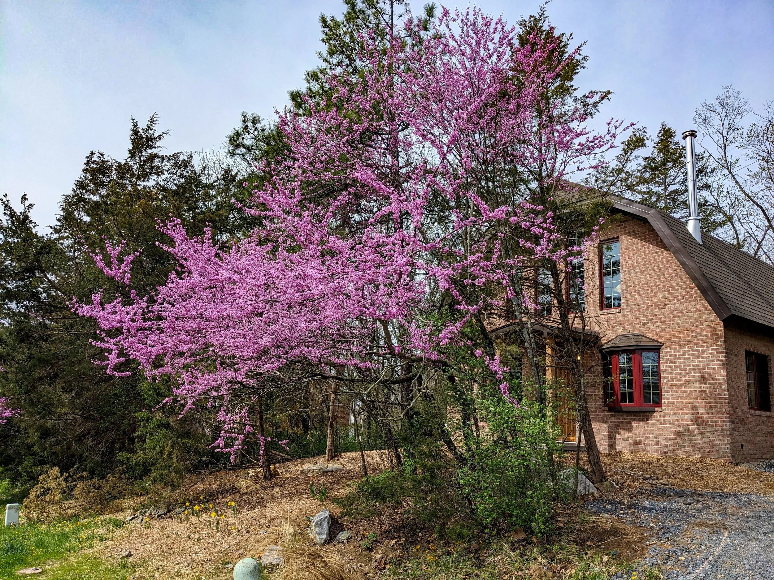 Wyndham Cottage-21.jpg