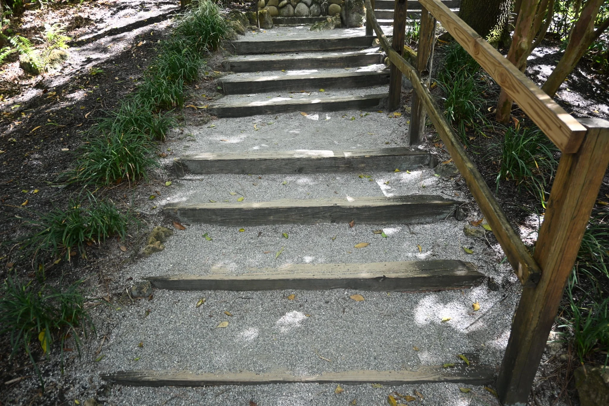 IMG_20260410_111135 (9).jpg