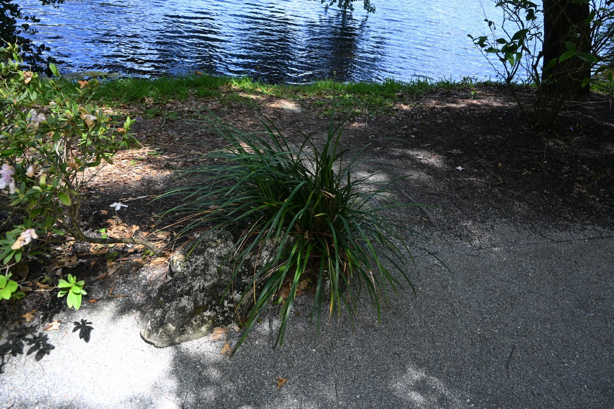 IMG_20260410_111132 (1).jpg