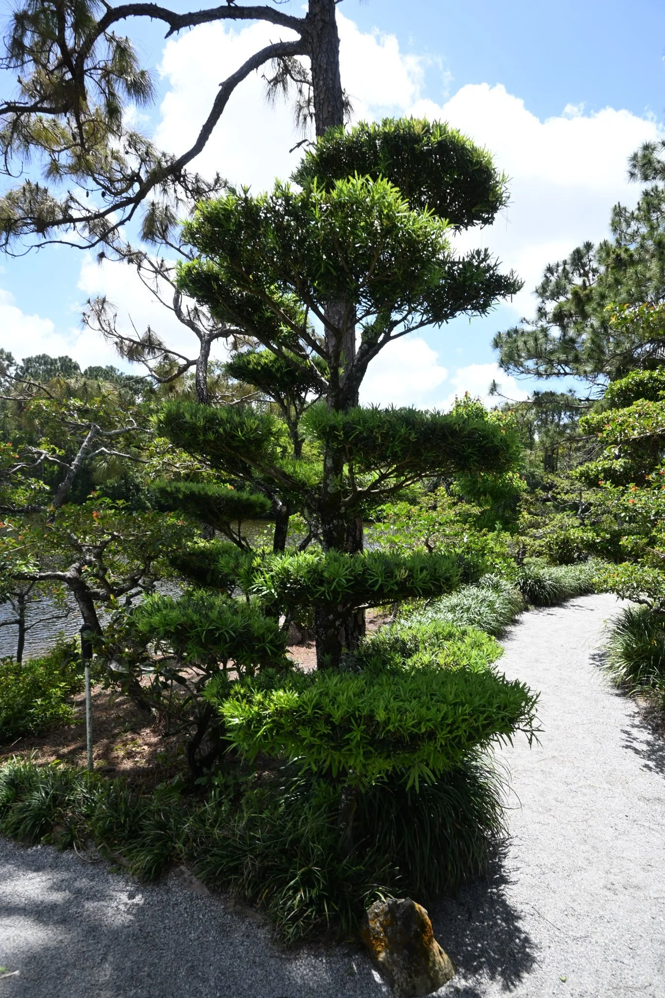 IMG_20260410_111135 (4).jpg