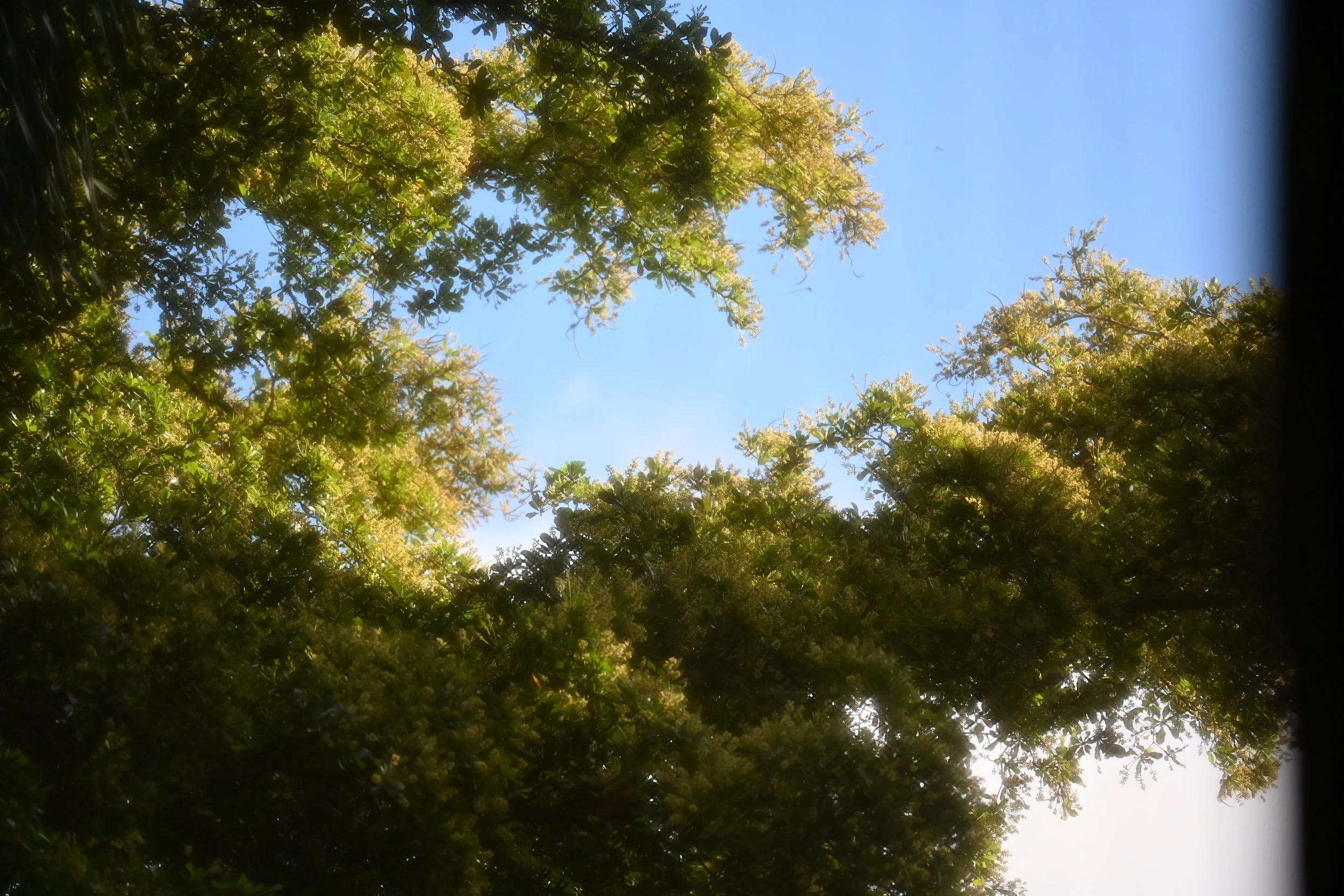 DSC_1790.JPG