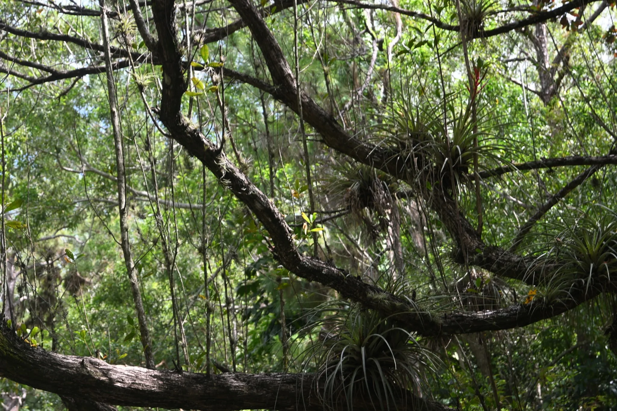 IMG_20260410_111135 (2).jpg