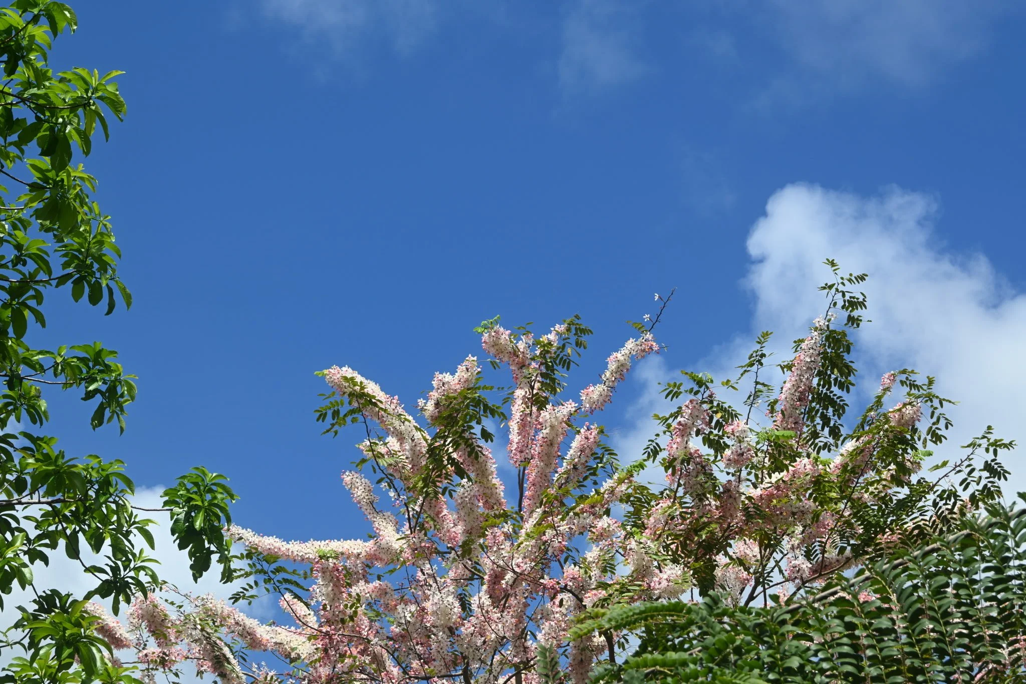 IMG_20260410_111135 (7).jpg