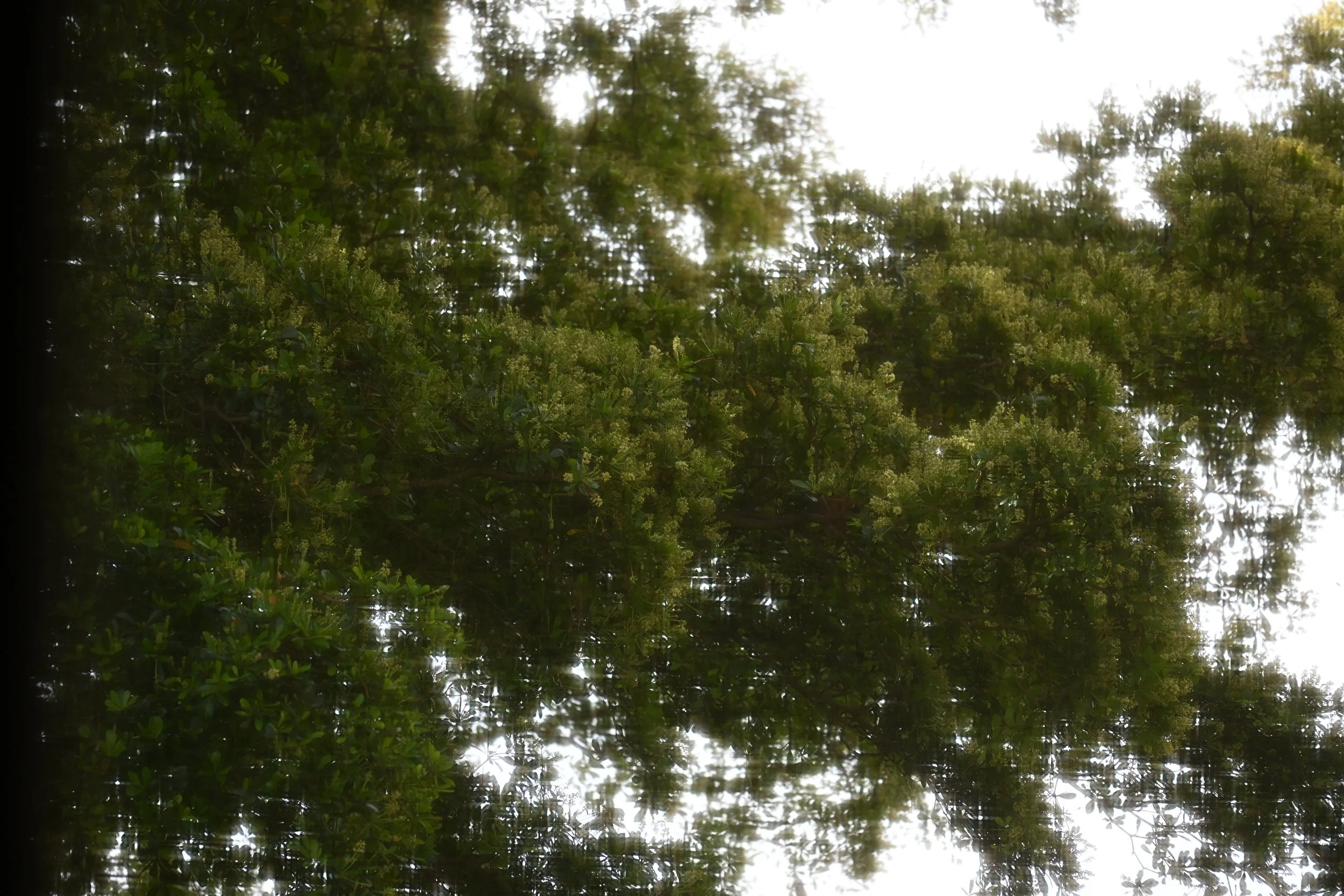DSC_1762.JPG