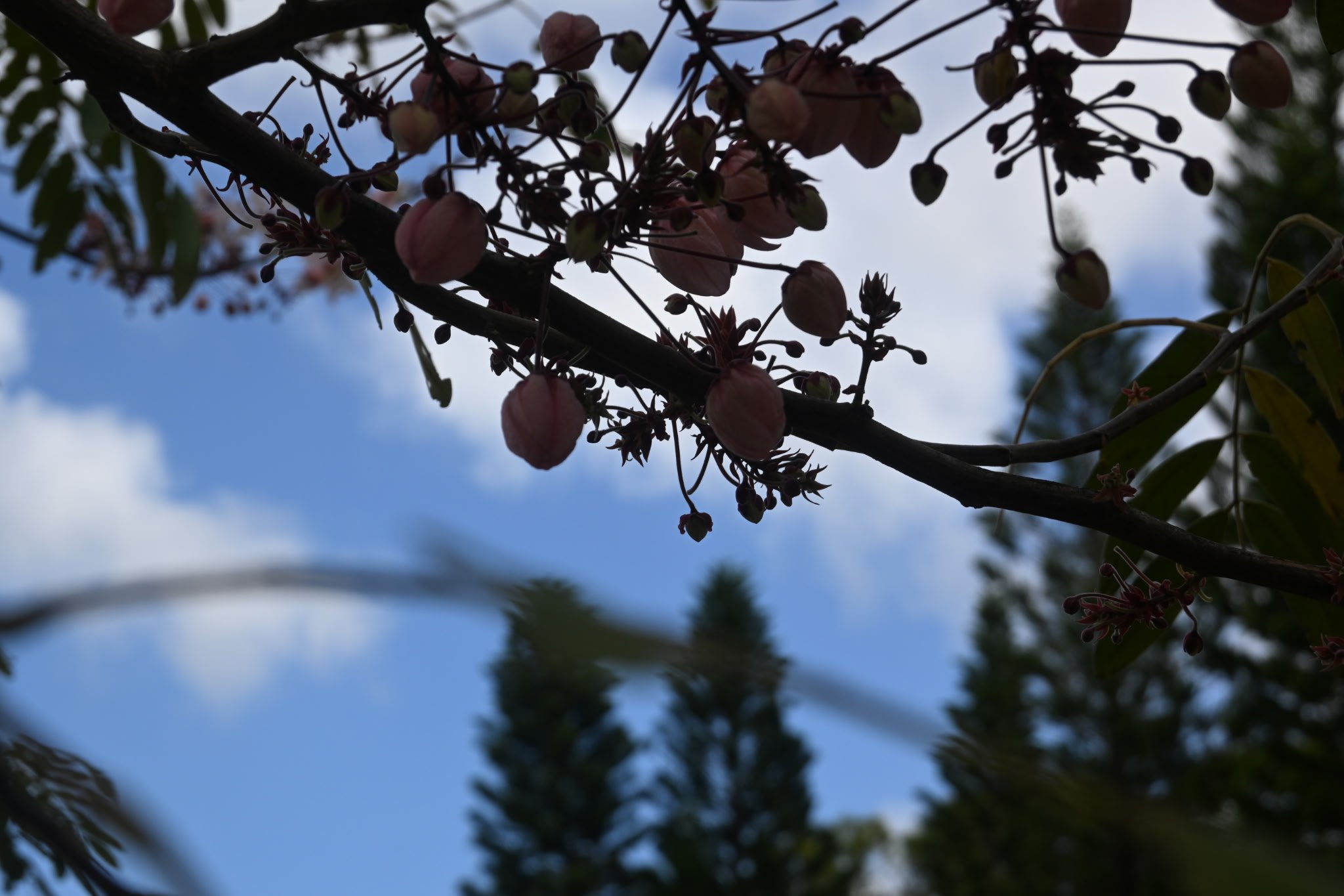 IMG_20260410_111130 (6).jpg