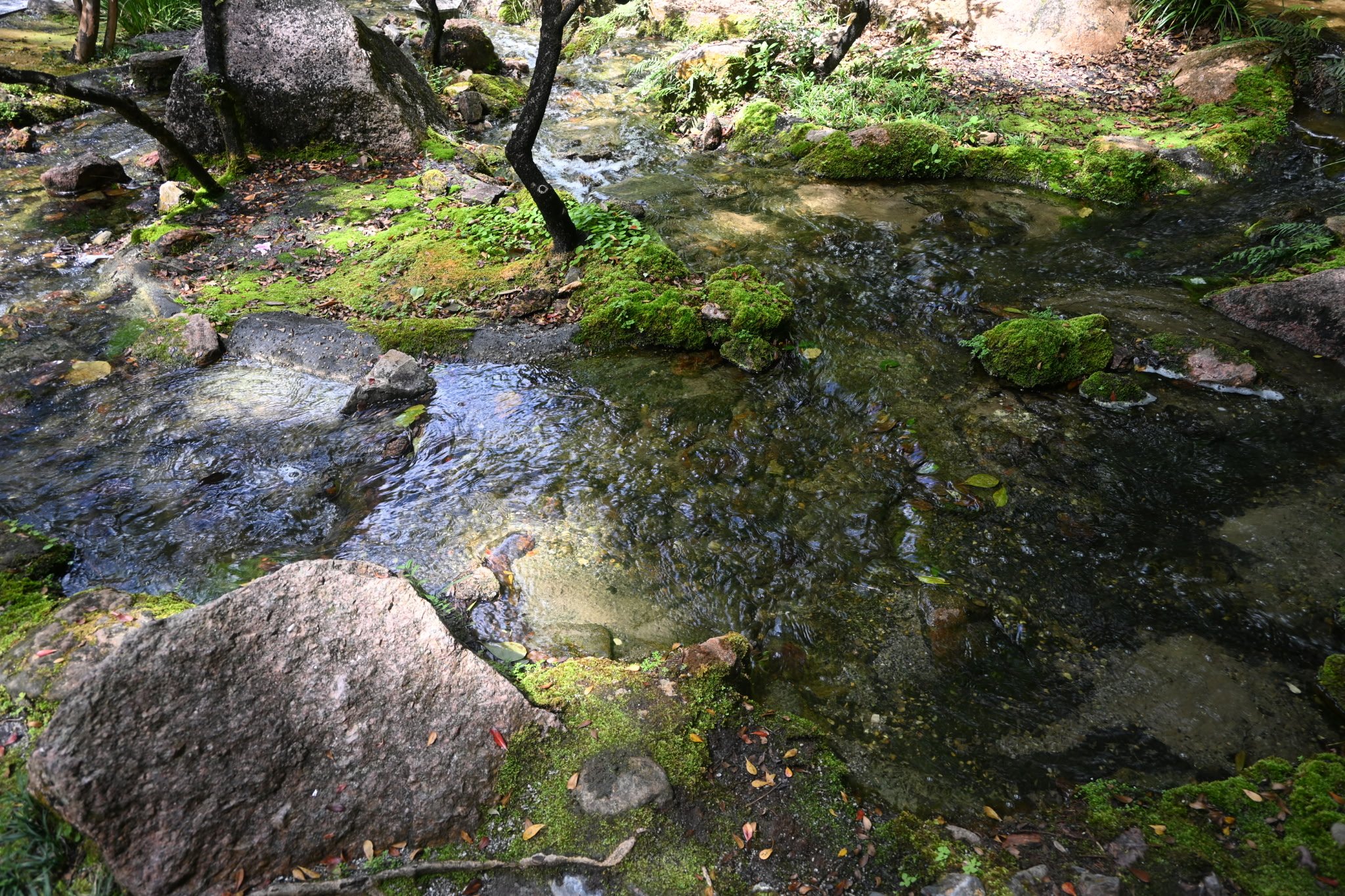 IMG_20260410_111130 (3).jpg