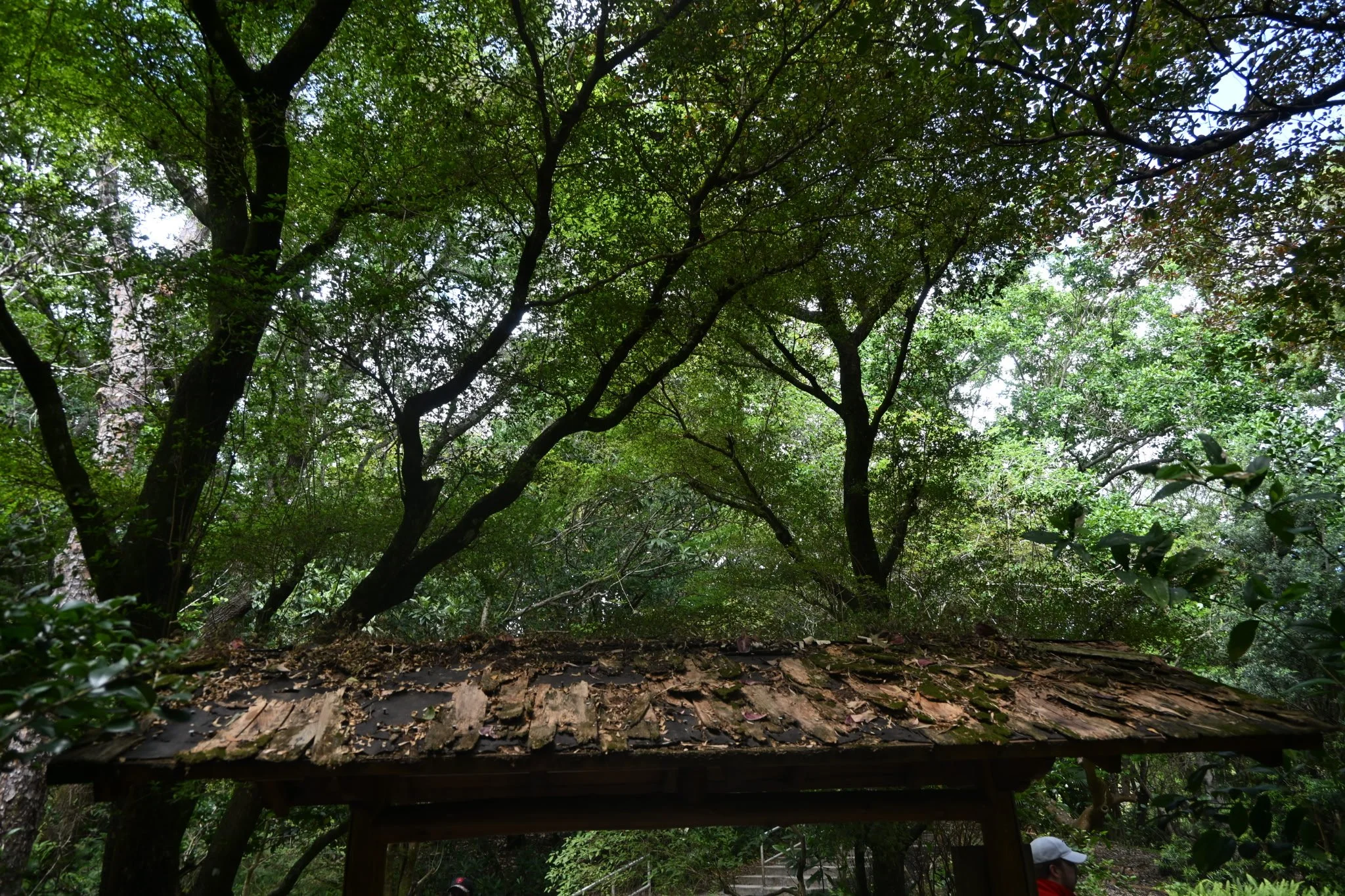 IMG_20260410_111135 (3).jpg