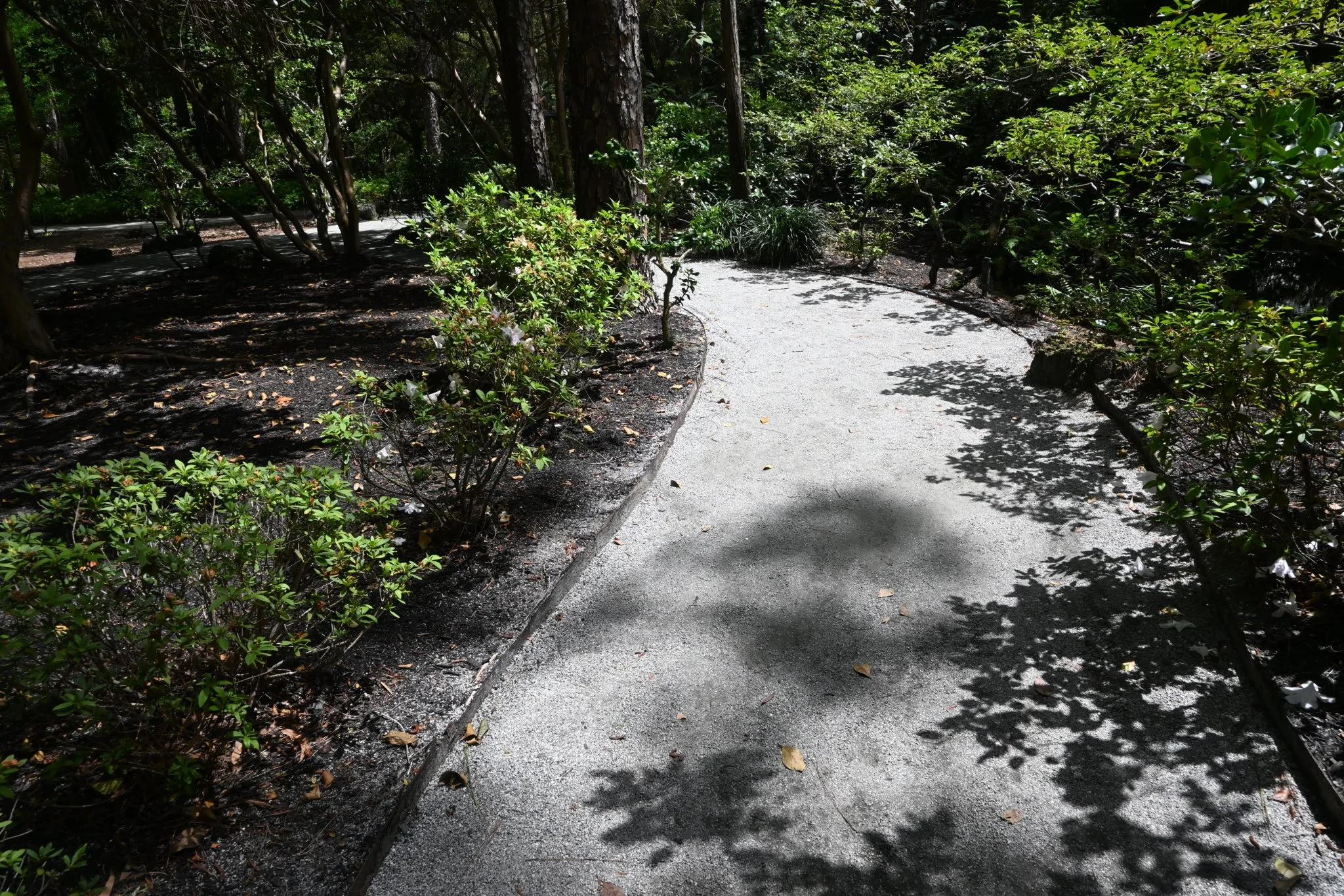 IMG_20260410_111127 (3).jpg