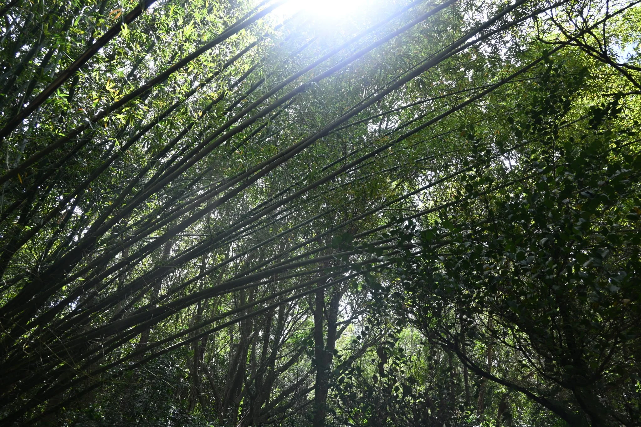 IMG_20260410_111135 (5).jpg