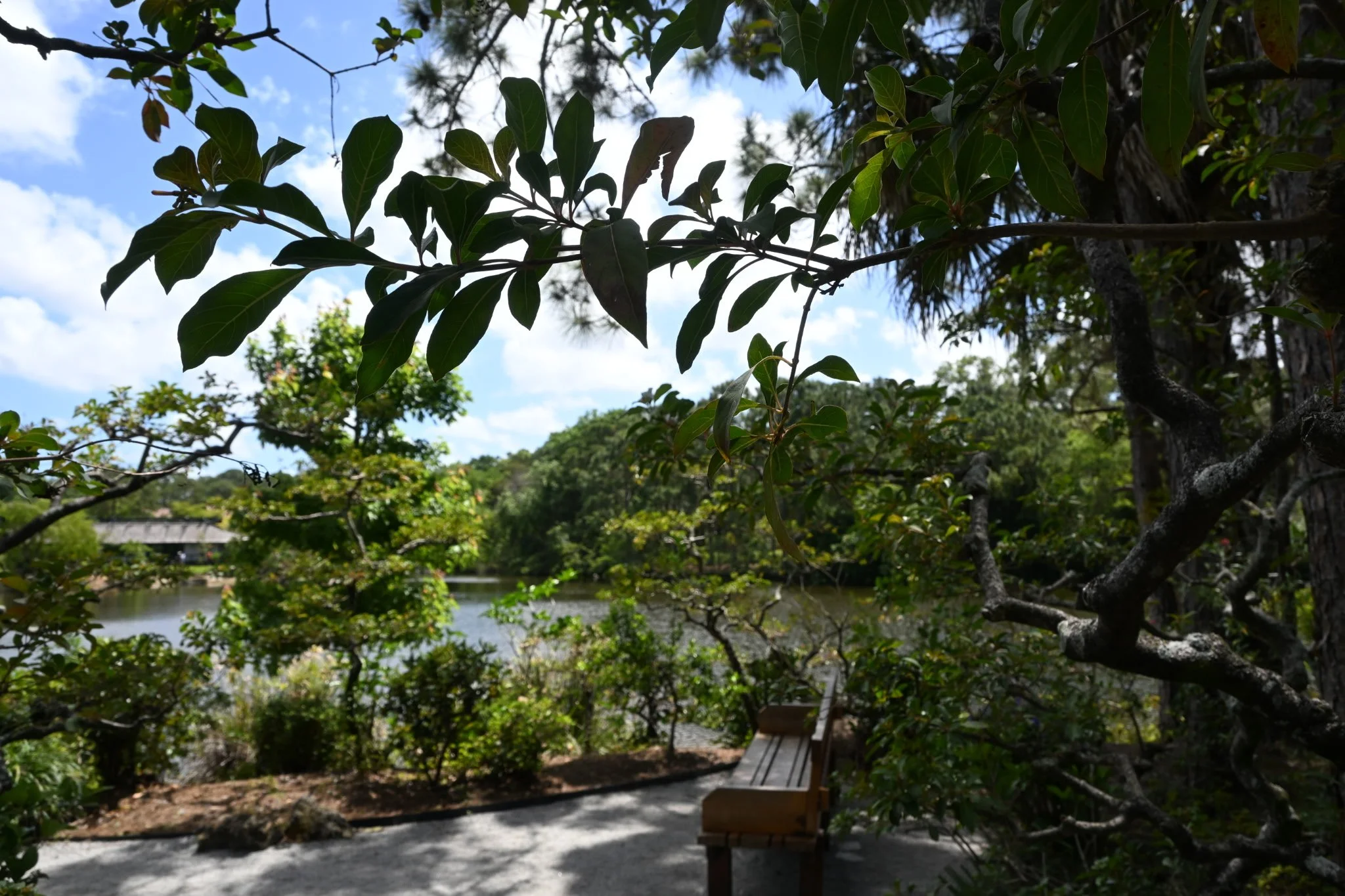 IMG_20260410_111132 (2).jpg