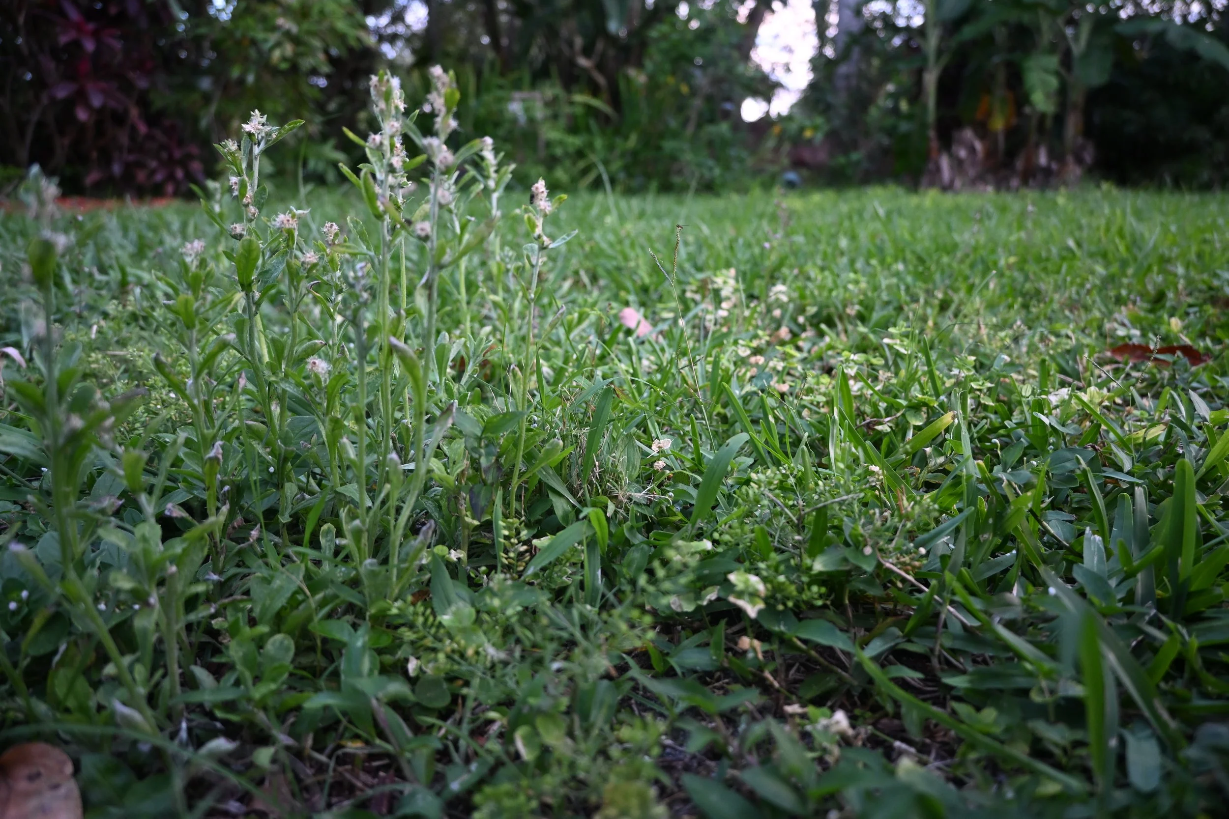 DSC_2347.JPG