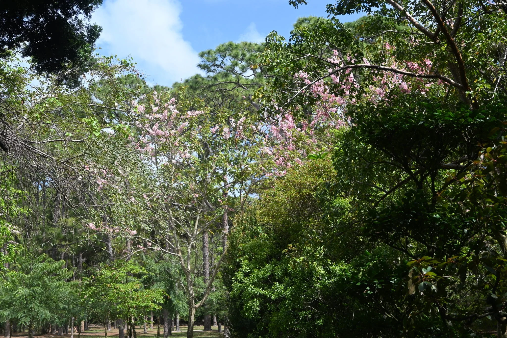 IMG_20260410_111135 (6).jpg