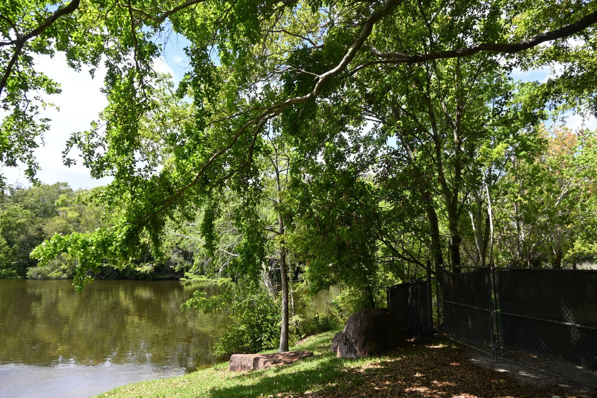 IMG_20260410_111130 (2).jpg